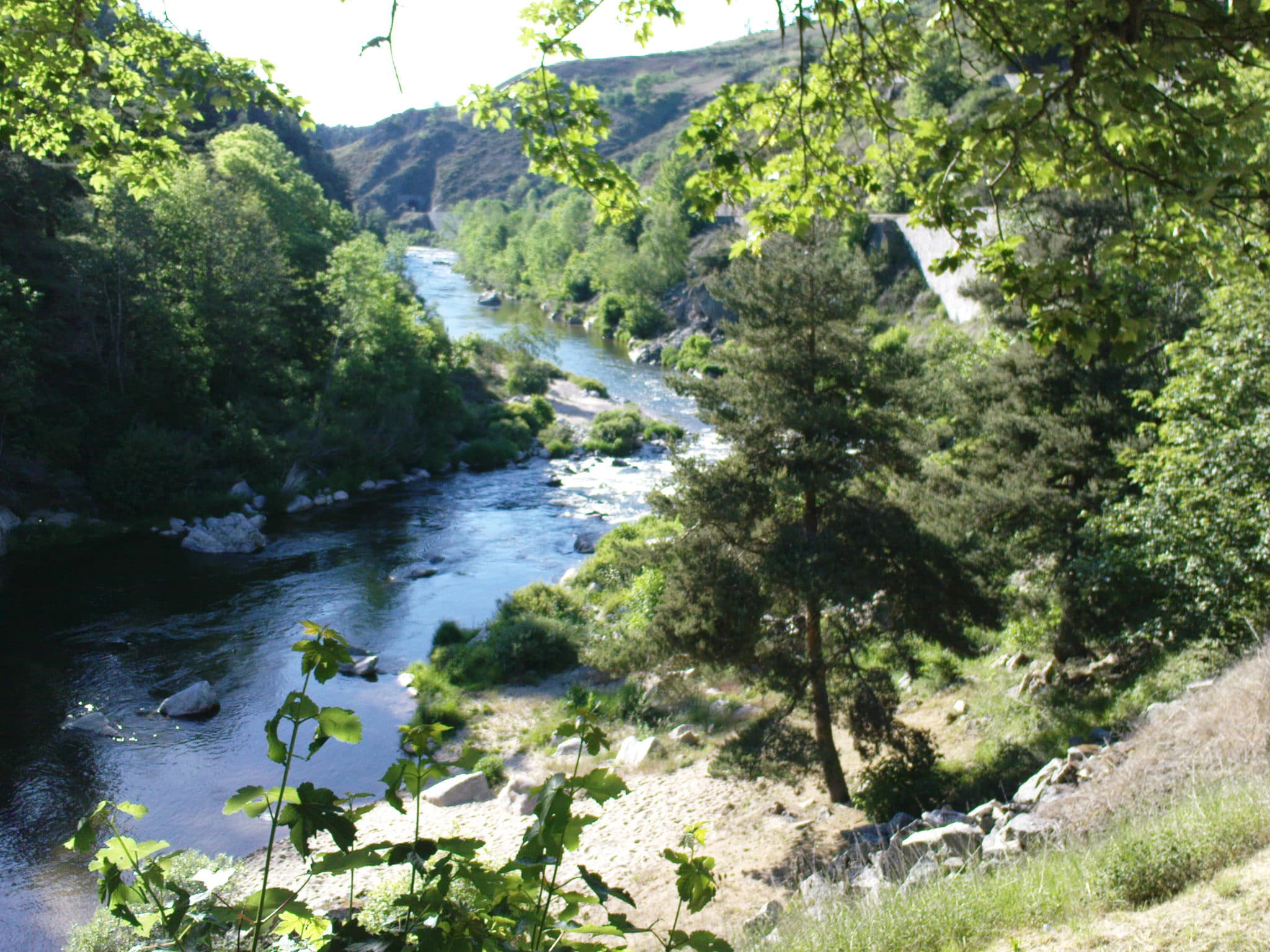 Gorges de l'Allier