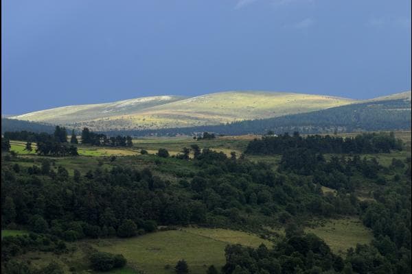 HLOLAR0480009533_7