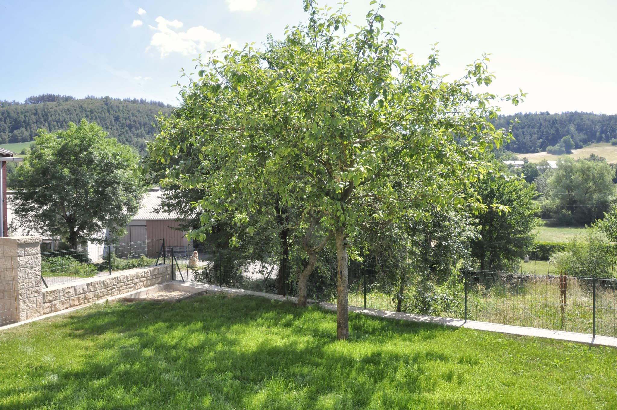 HLOLAR0480009552_06