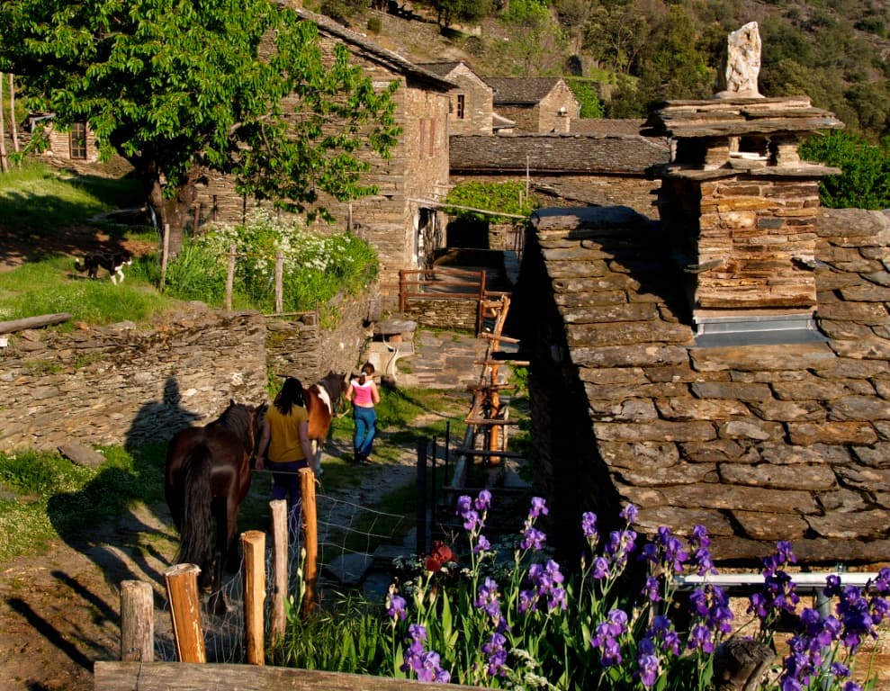 Chambre d'hôte cévennes