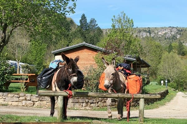 ANES AU CAMPING