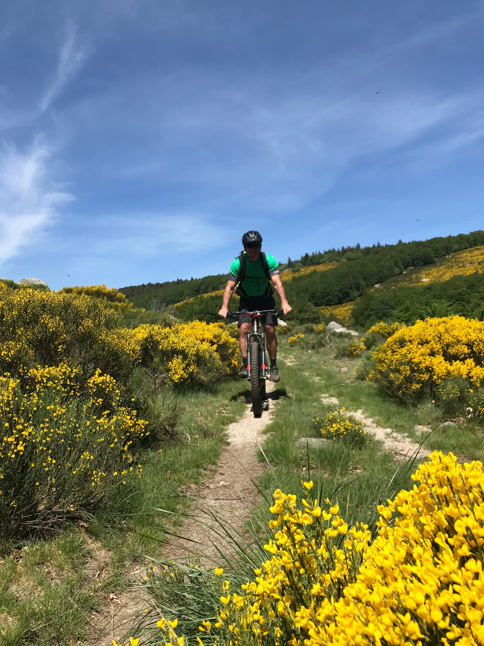 Location VTT