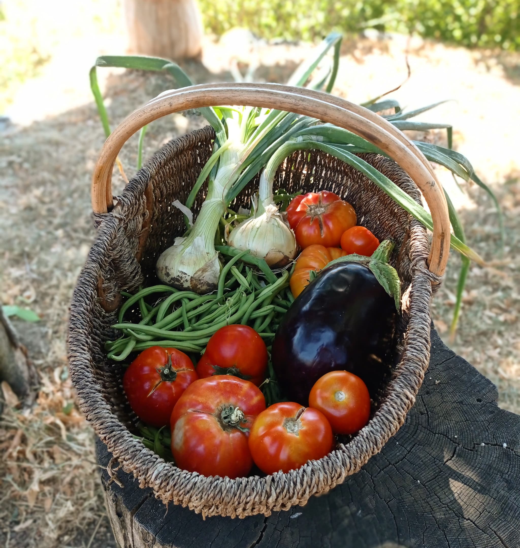 Légumes Ferme auberge