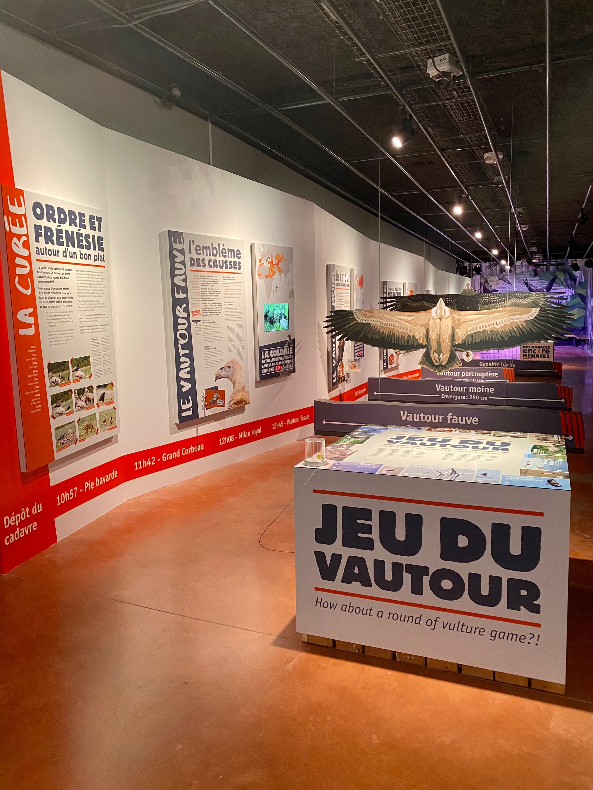 Musée - Jeu du vautour