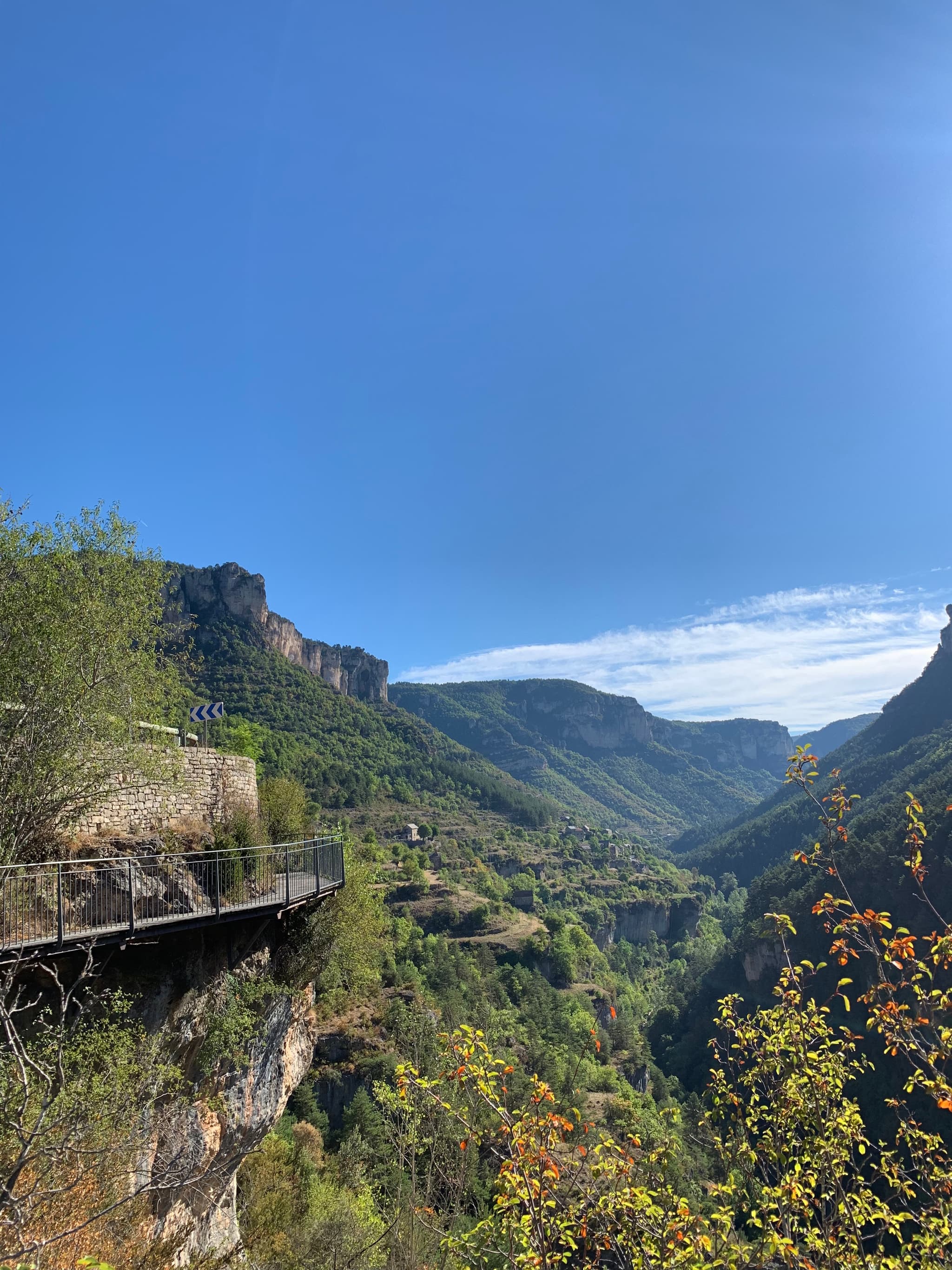 Panorama