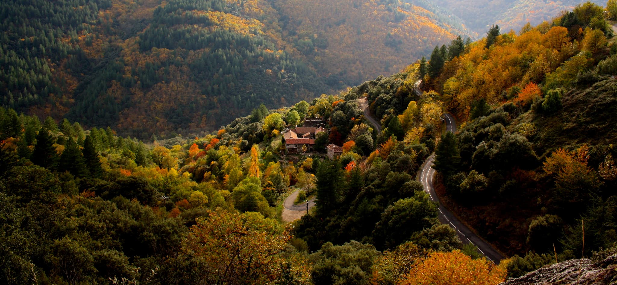Donzelenche en novembre