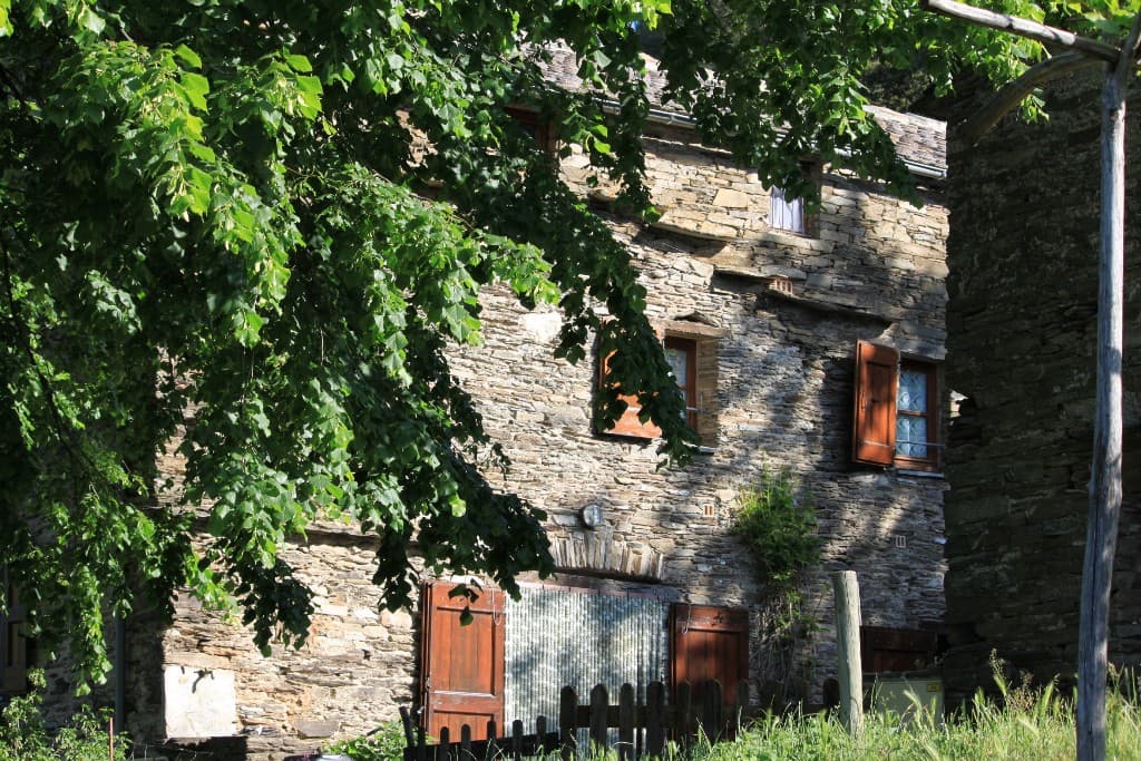 IMG_5618 - Copie