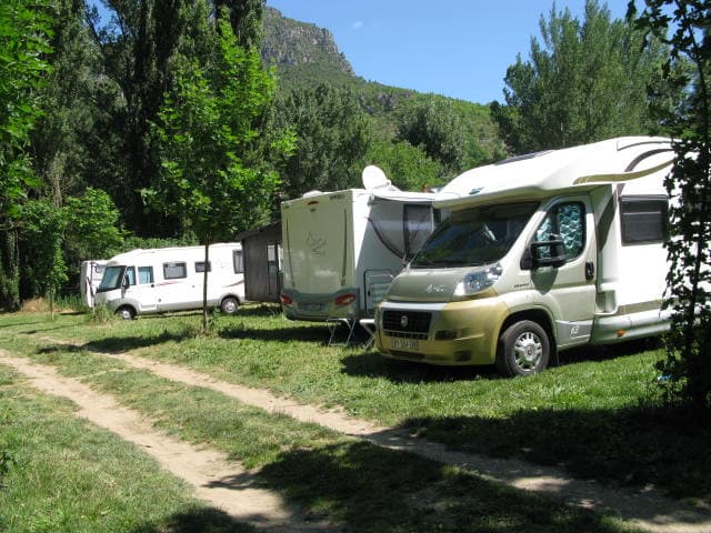 C Cars