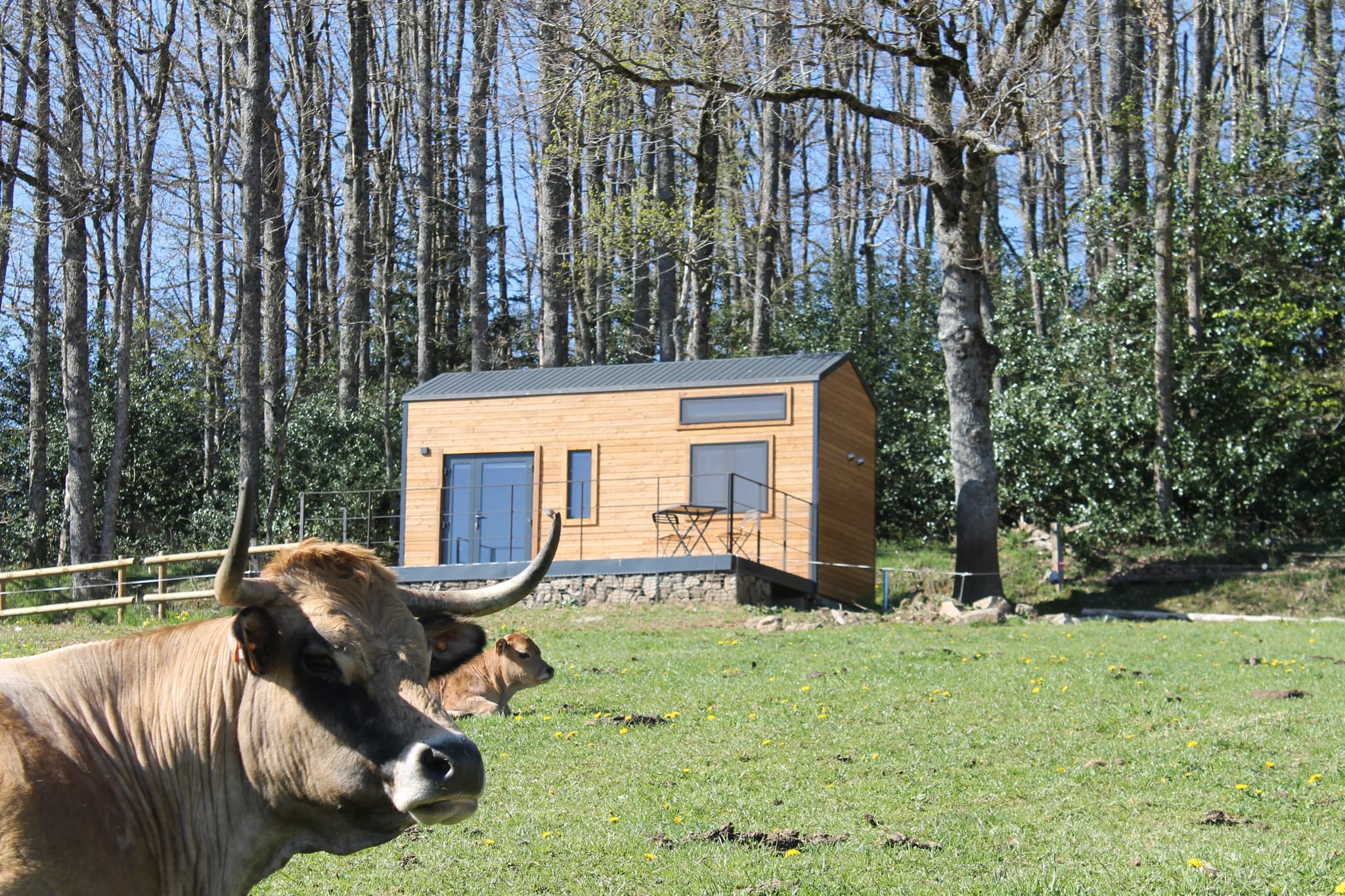 Tiny House Noubloux