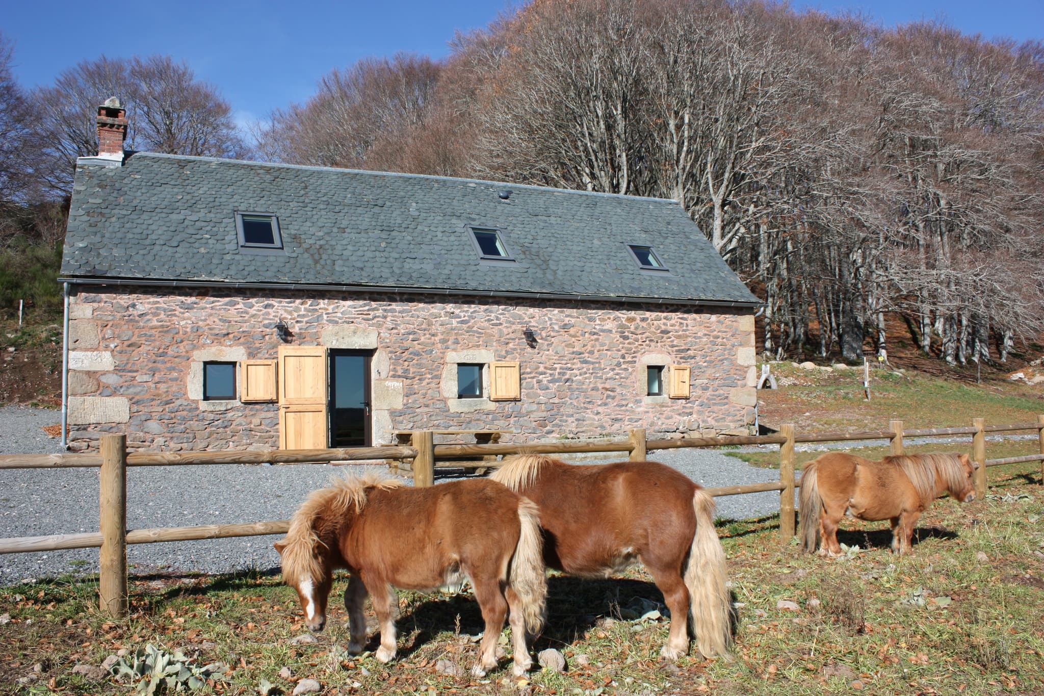 Famille poneys devant le carteyrou
