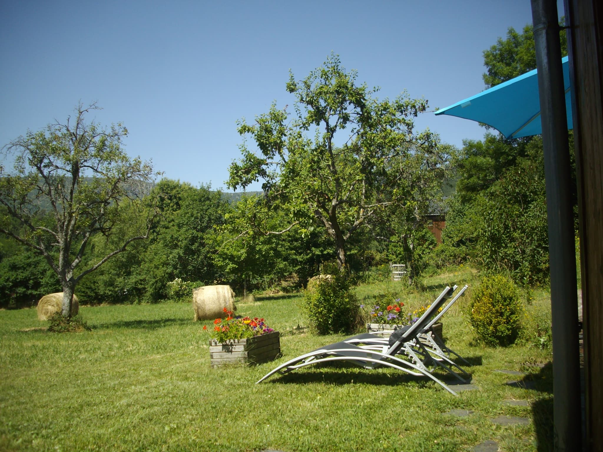 IMGP4525