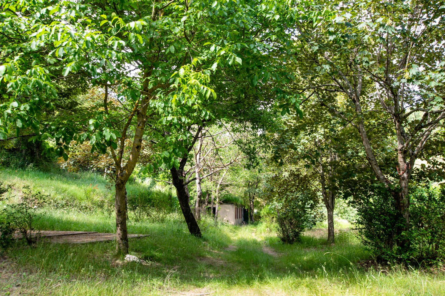 Gabitou-4