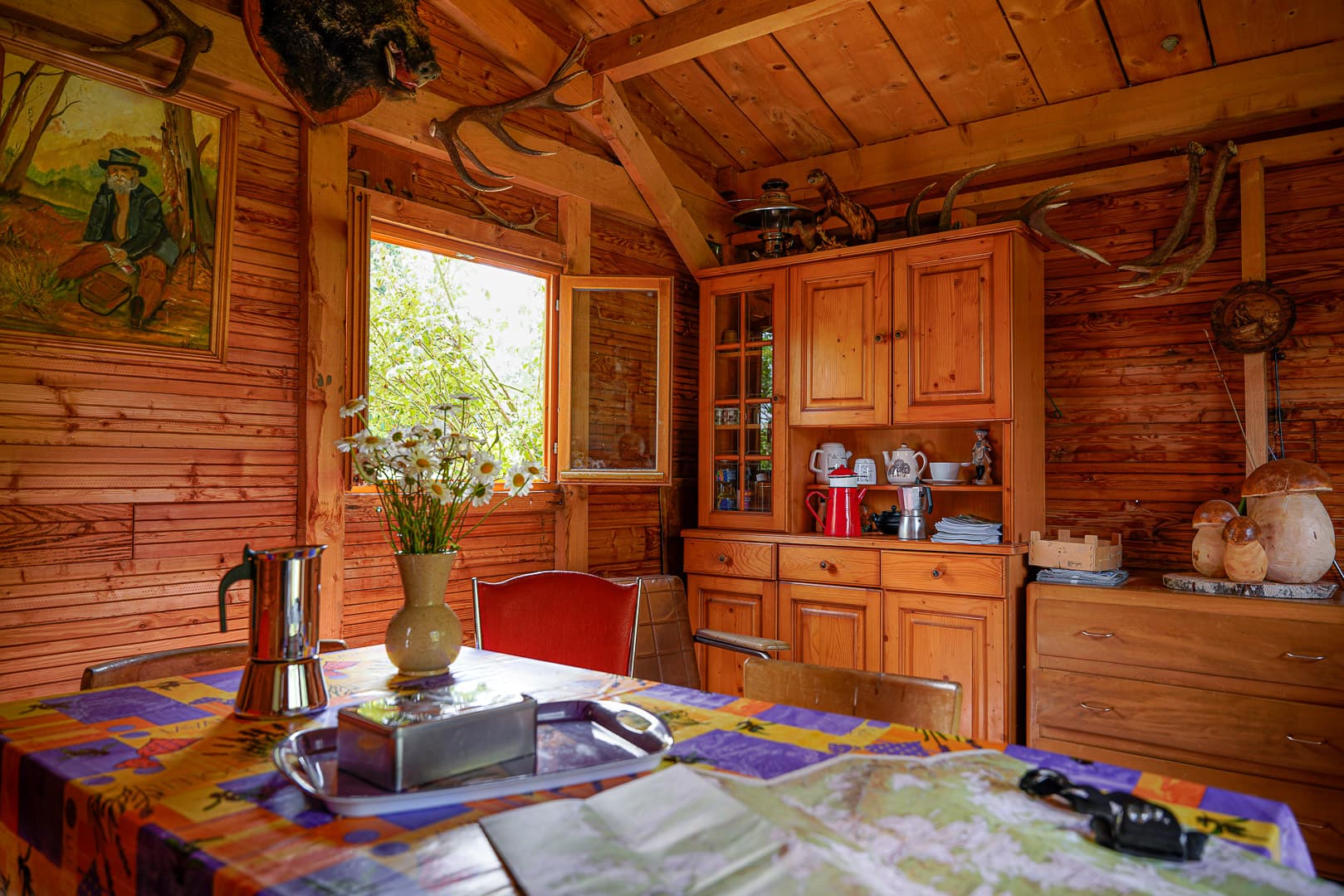Cabane dans les arbres