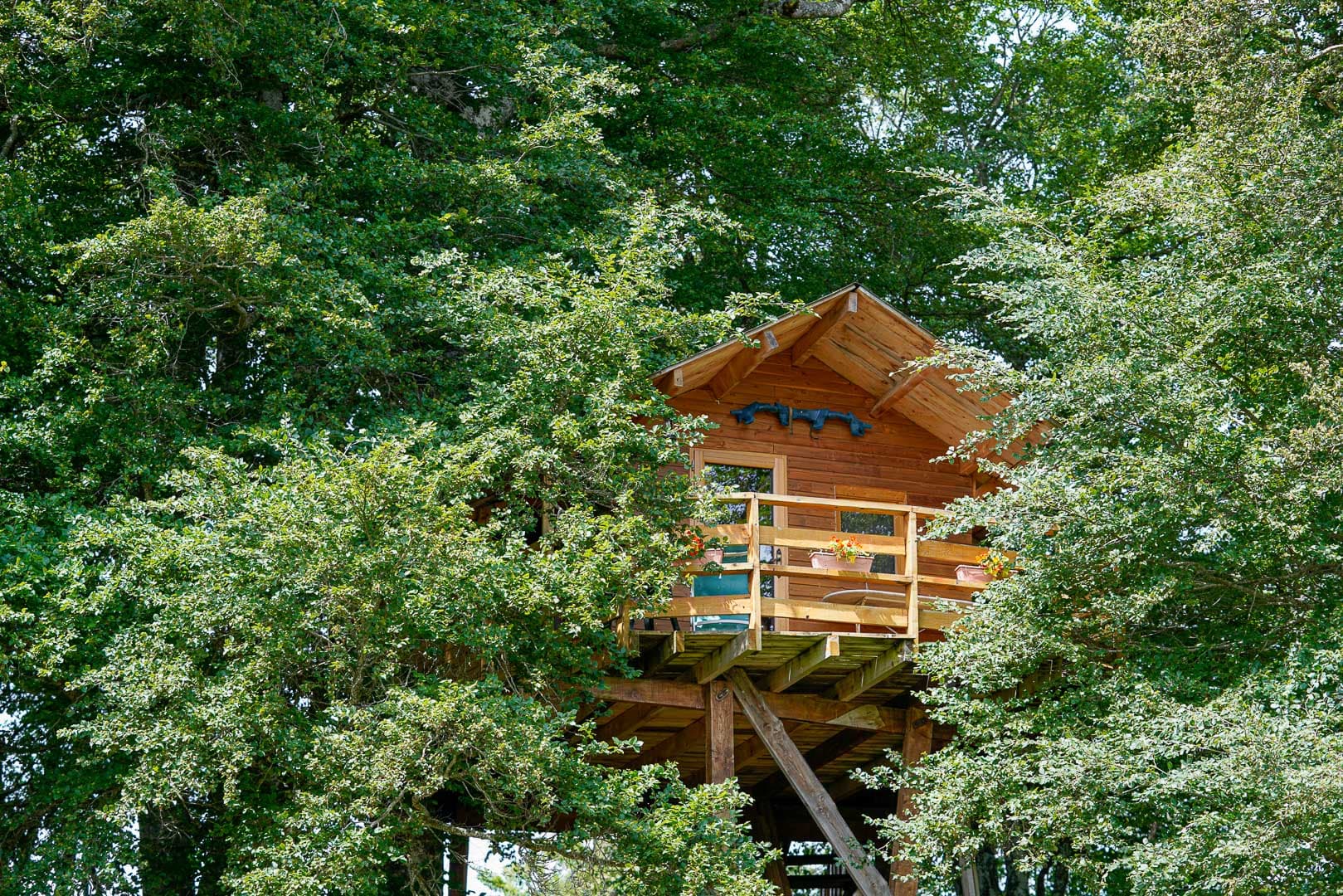 Cabane dans les arbres