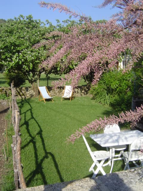Le jardin