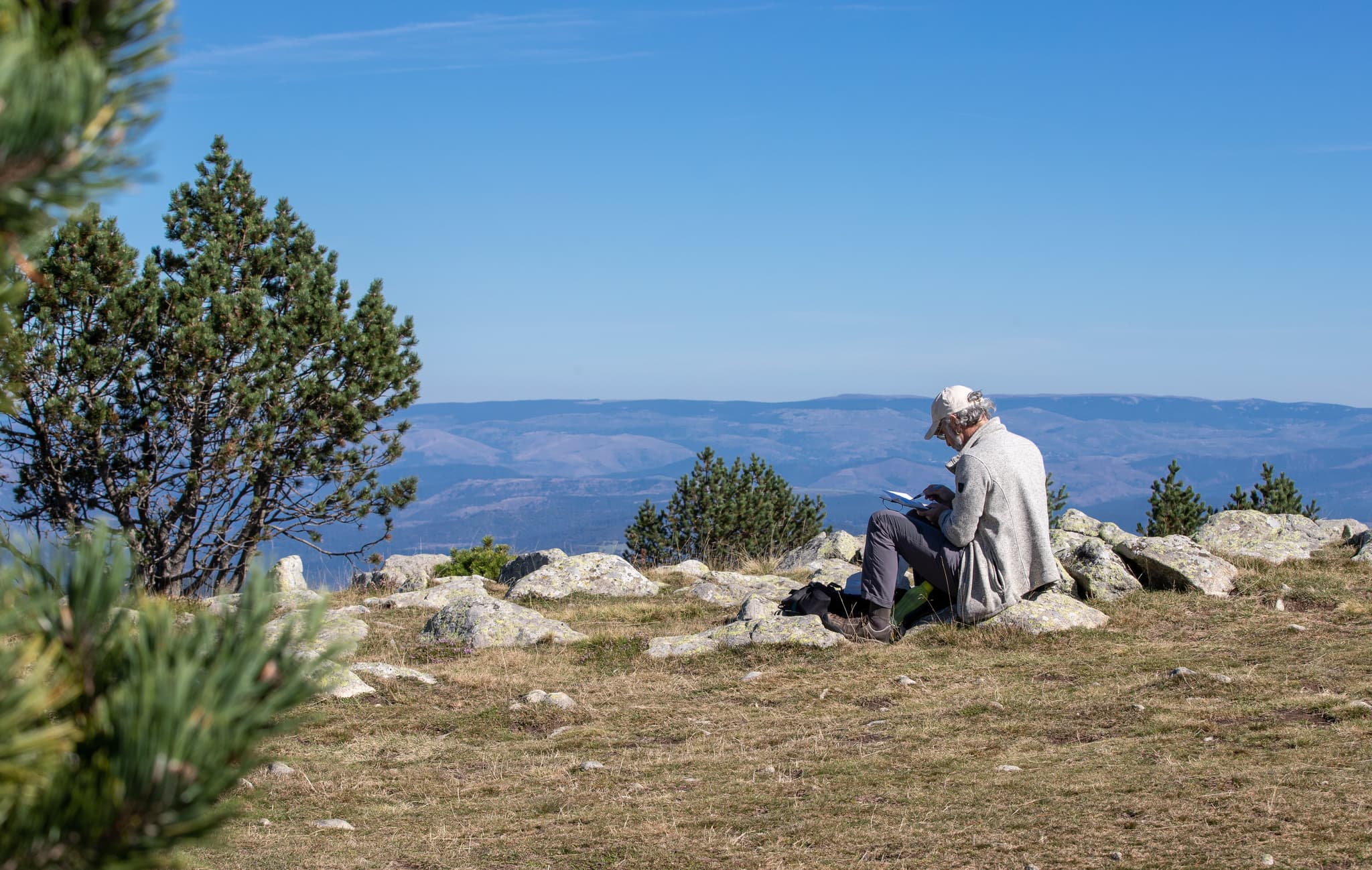 Mont-Aigoual