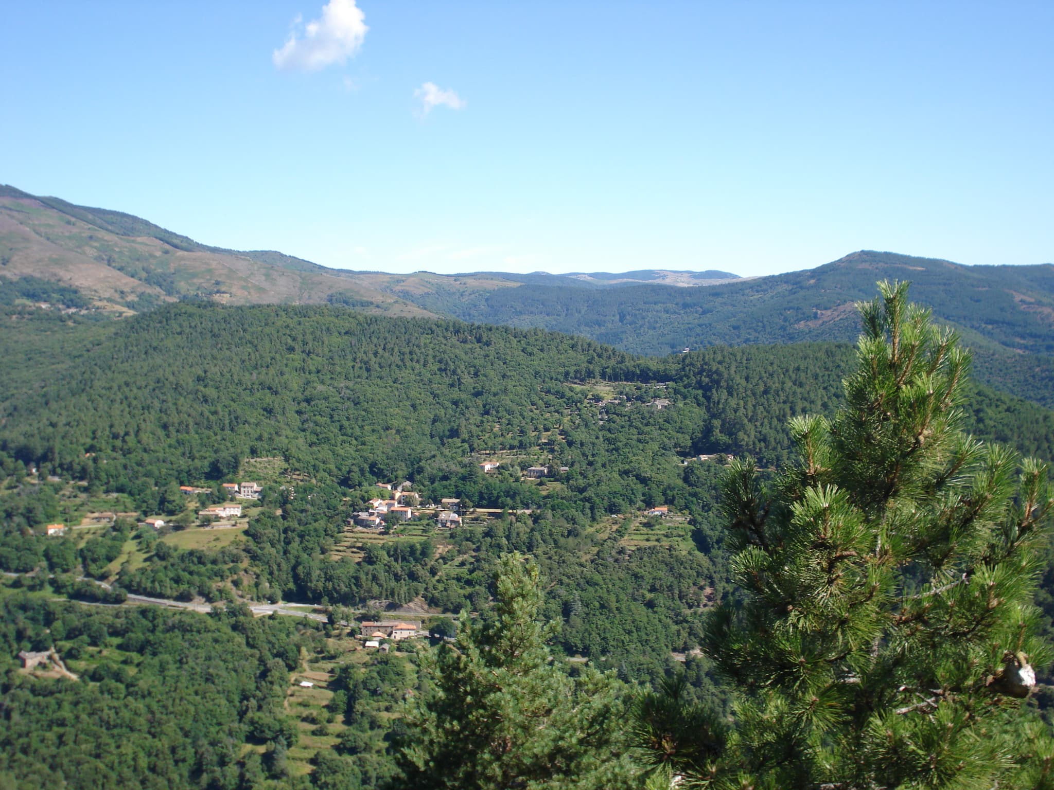 Au loin le village de vacances niché dans la forêt