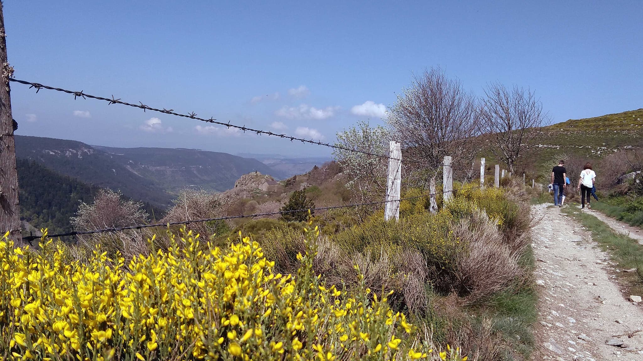 Chemins de randonnées GR et PR depuis le gîte à pied