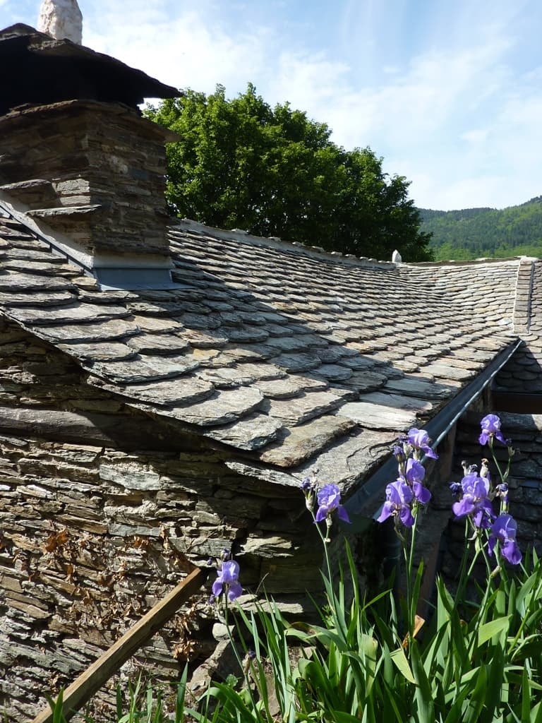 P1070178 - Copie