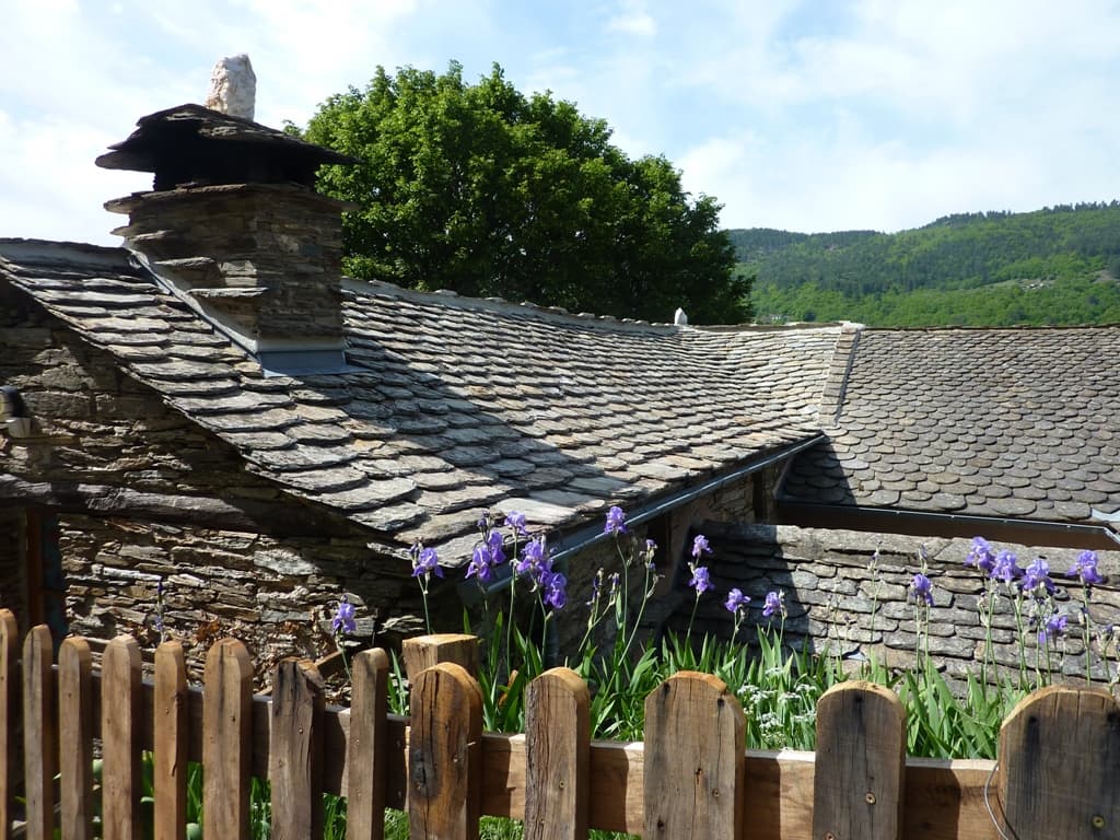 P1070186 - Copie