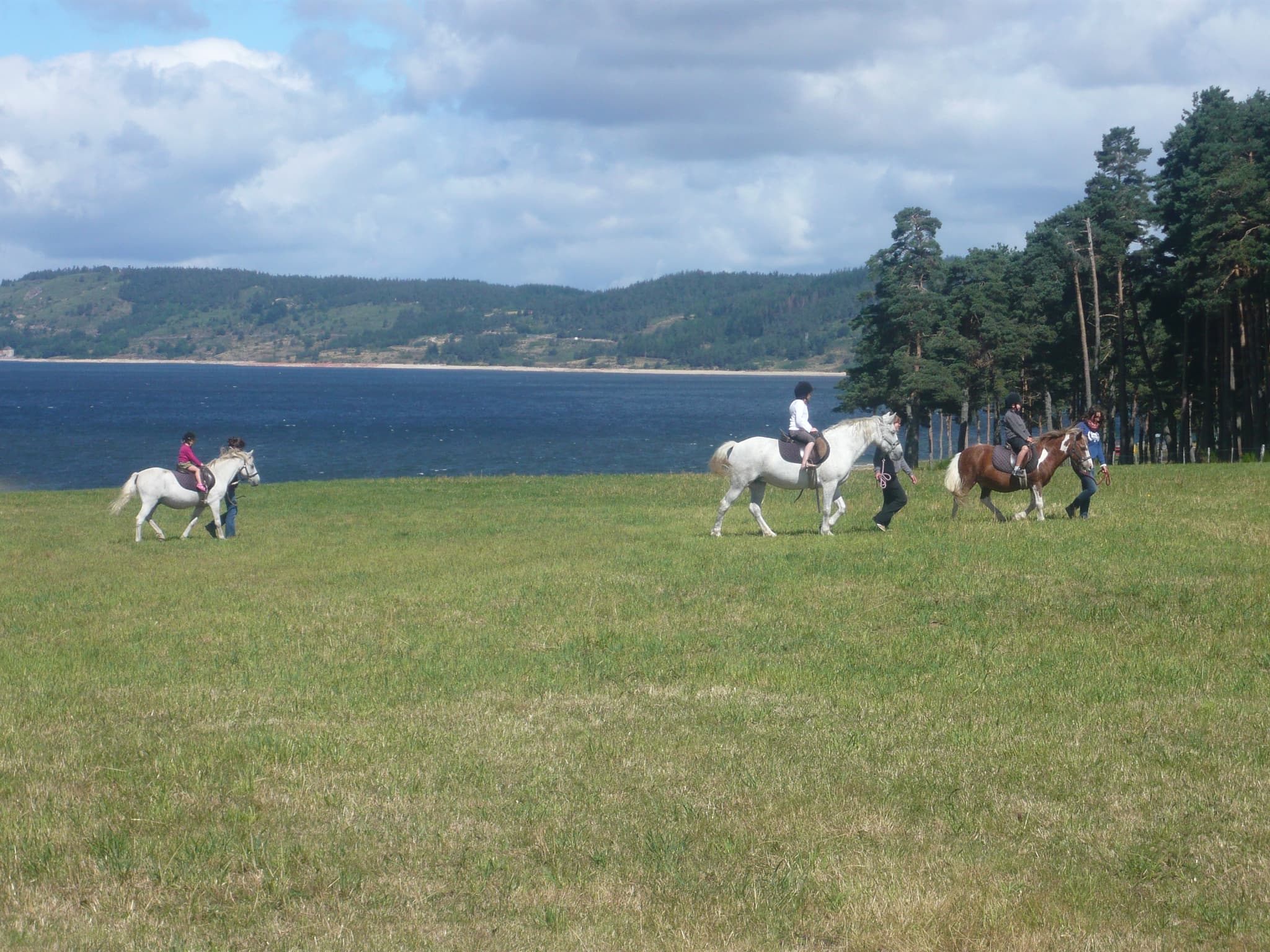 Promenade à poneys au bord du Lac
