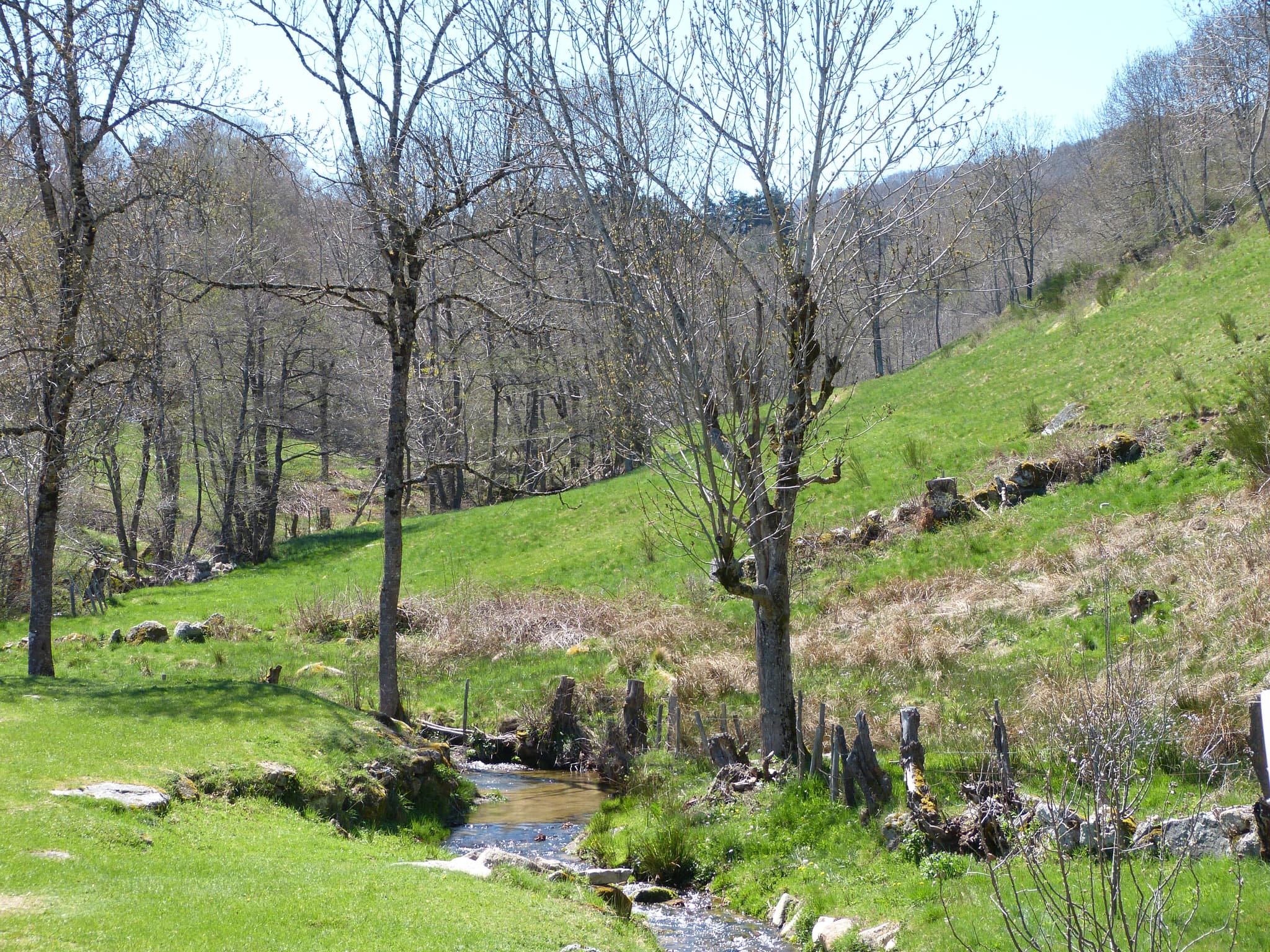 1. Paysage vu de la maison