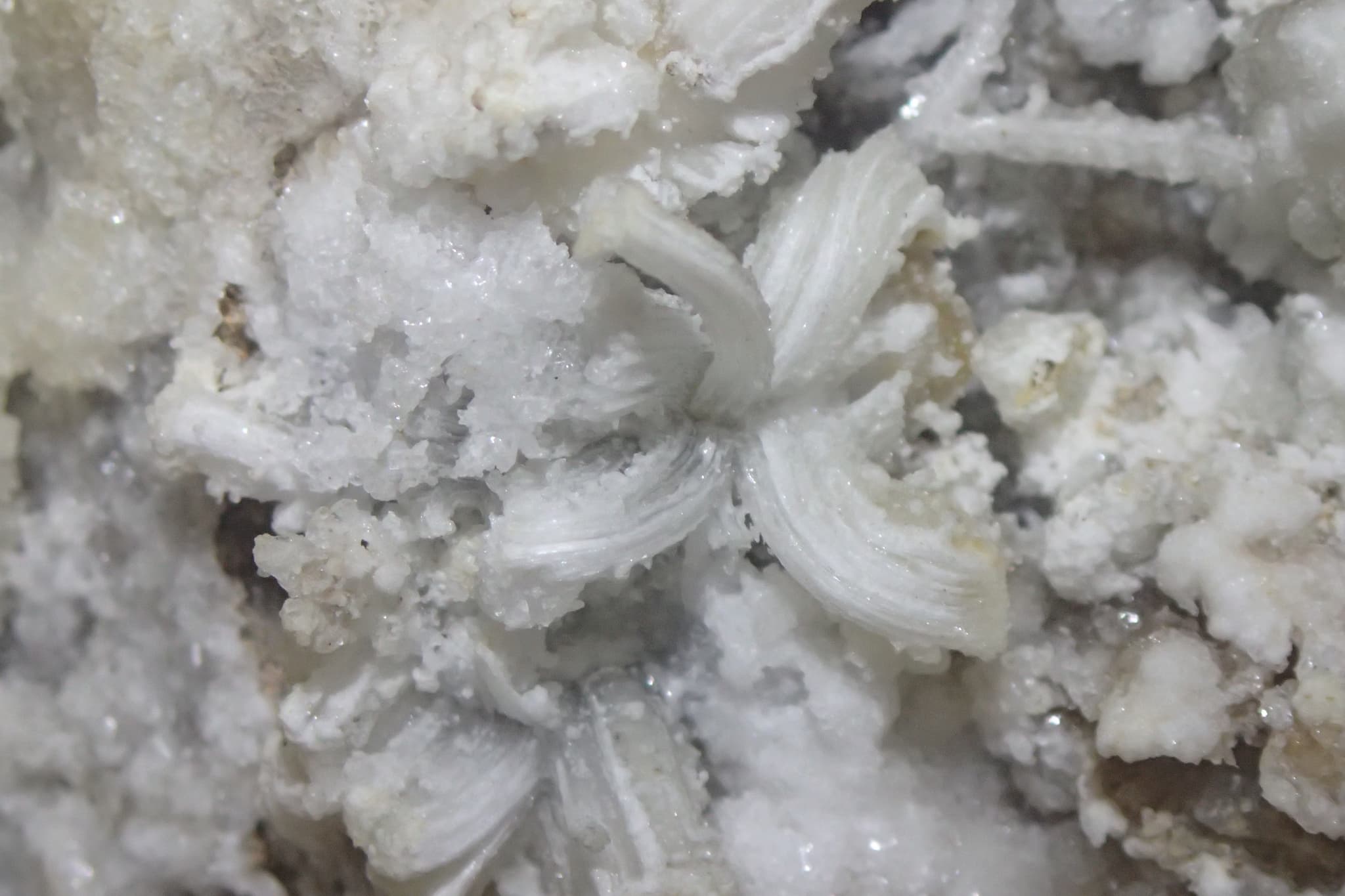 B&ABA SPORT NATURE spéléo - fleur de gypse