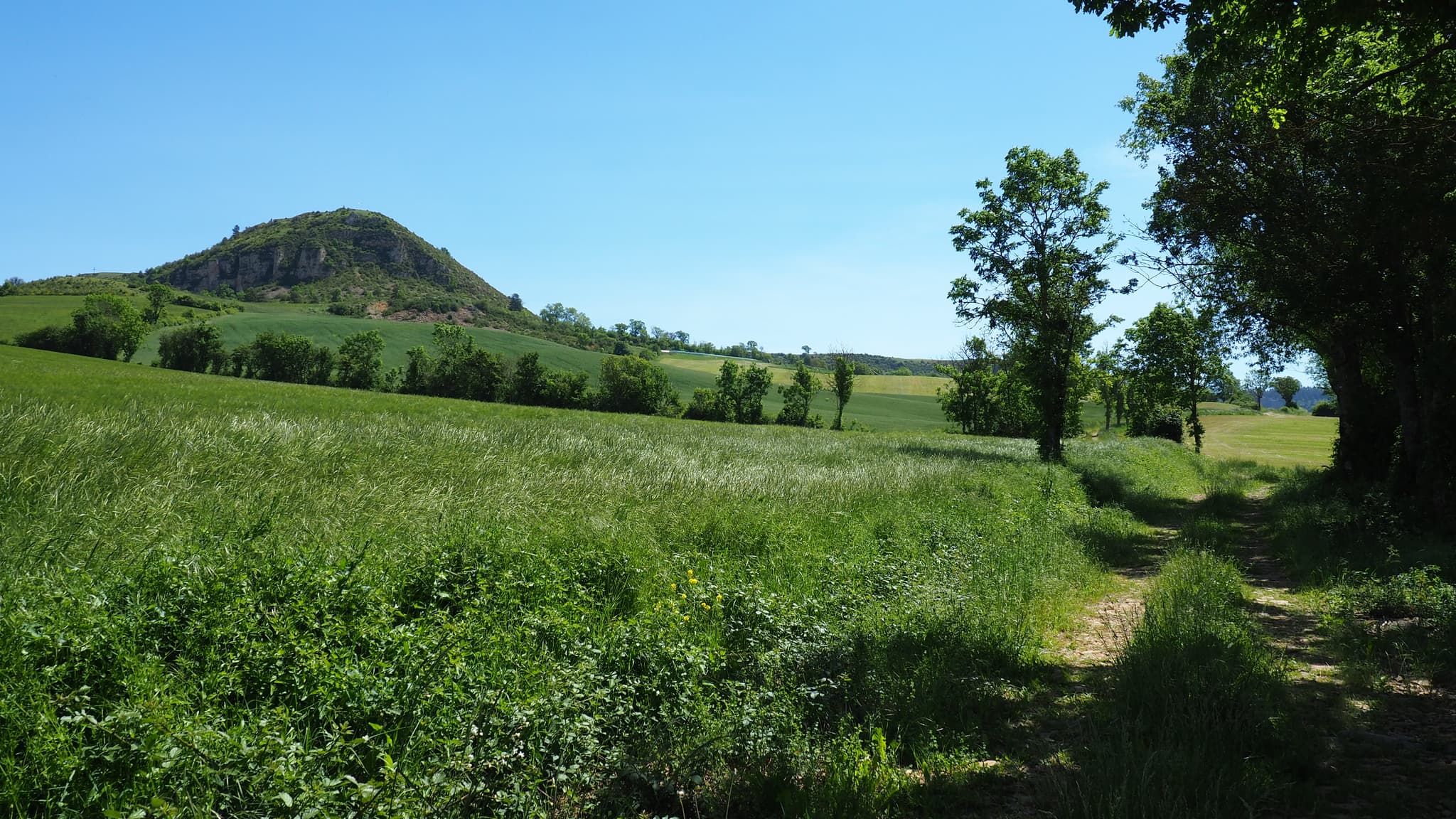 Le truc de St Bonnet
