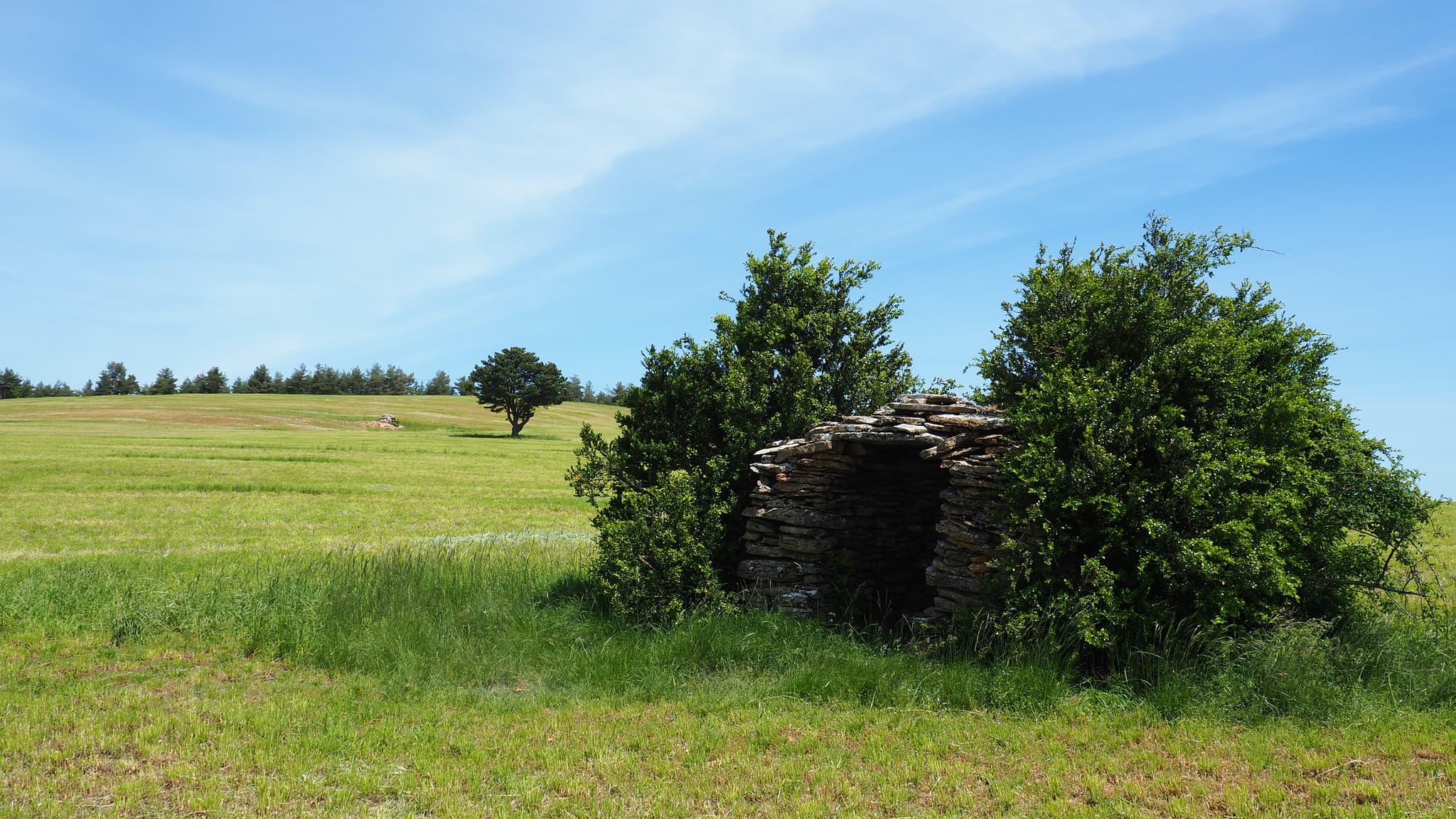 Sur le truc