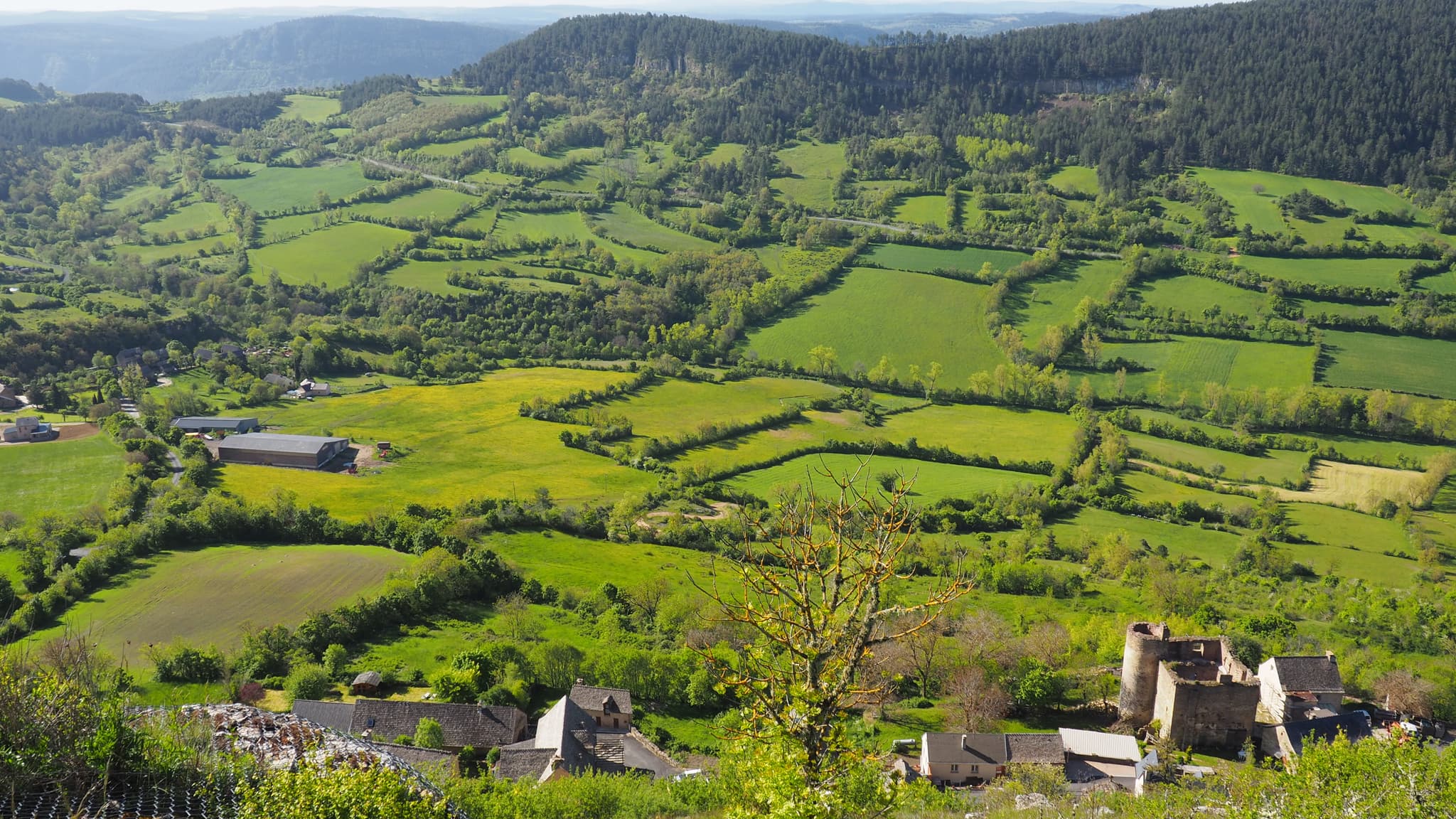 Vue du Truc
