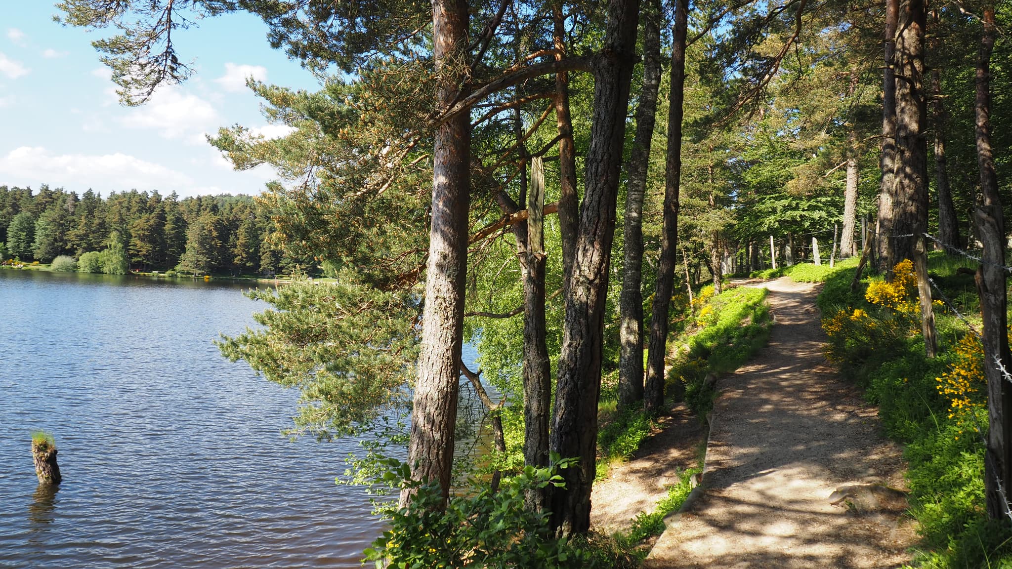 Sentier du tour du lac fin de Printemps