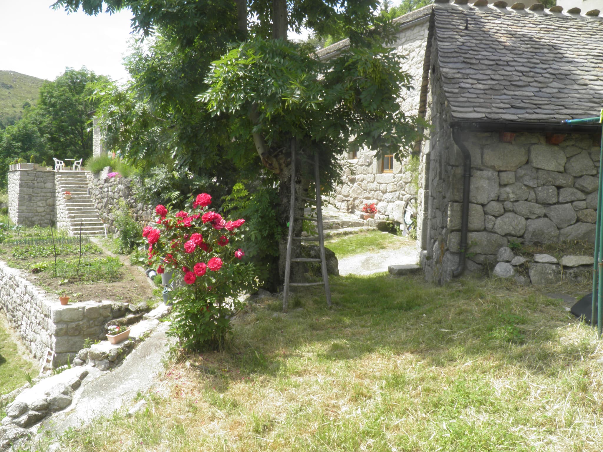 P6290005