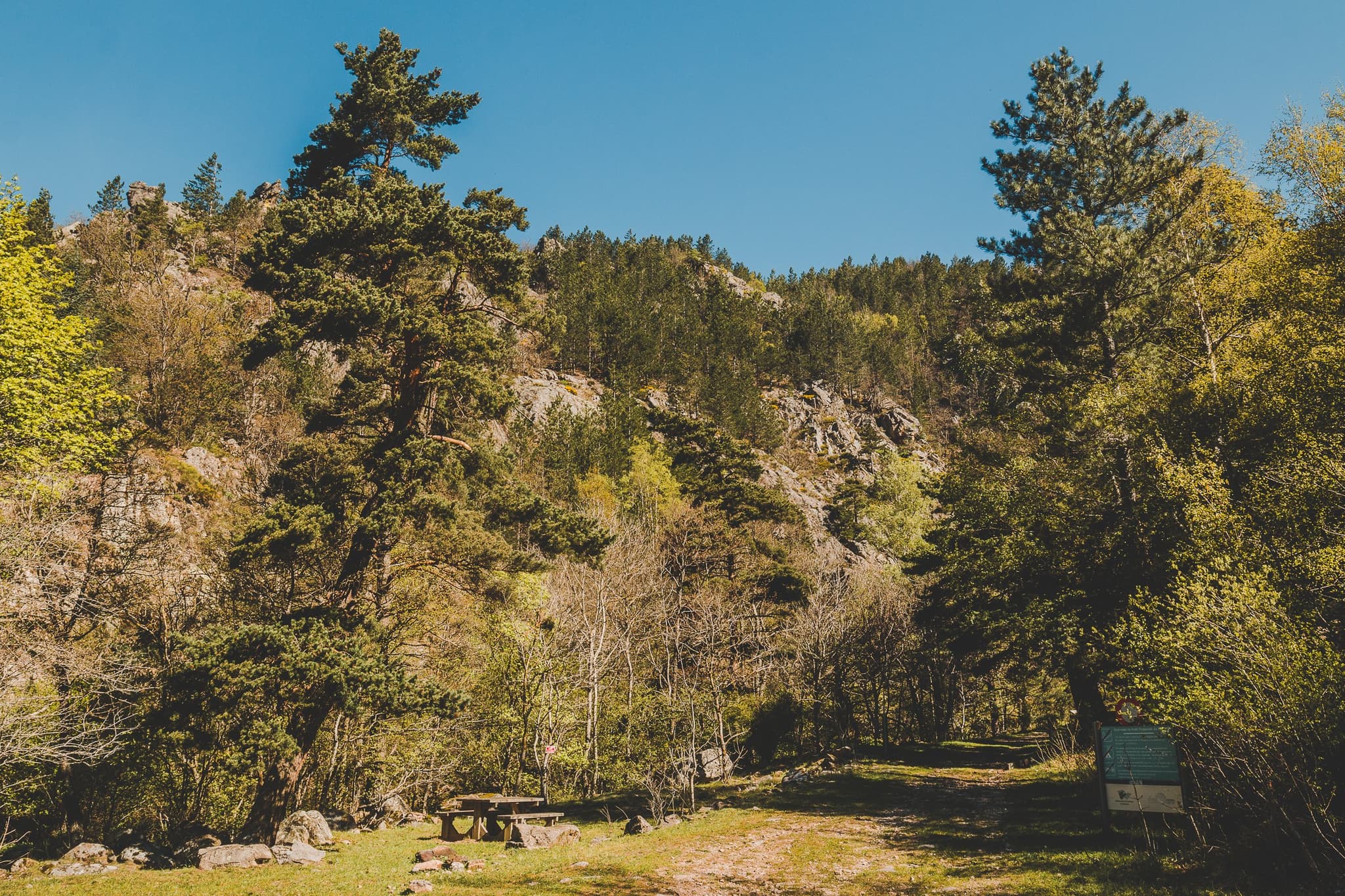 PNALAR048V506M31_01
