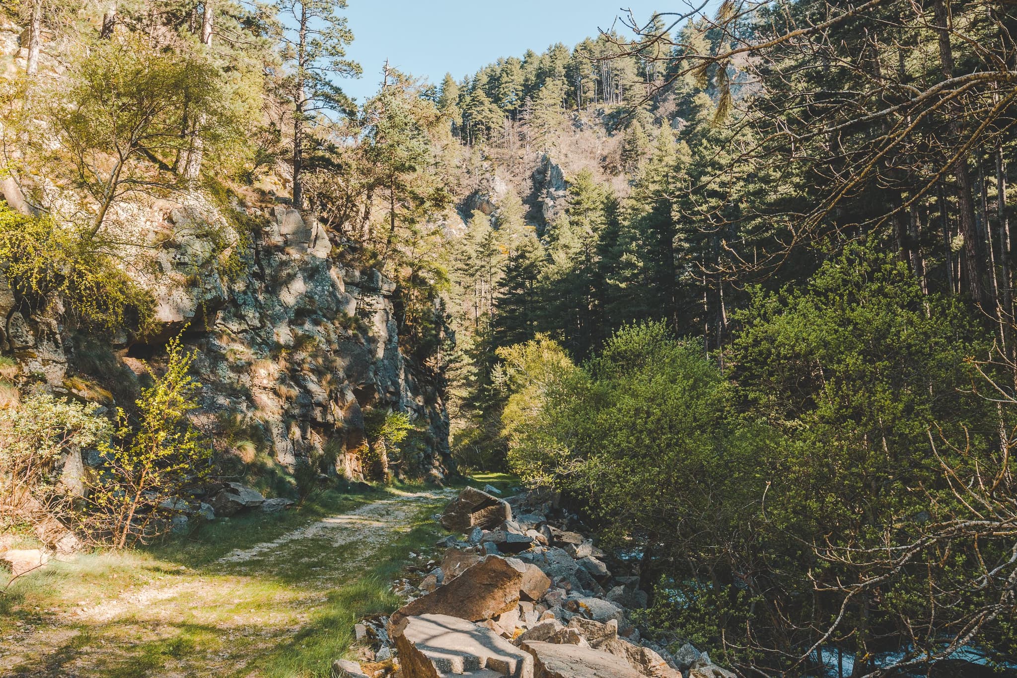 PNALAR048V506M31_04