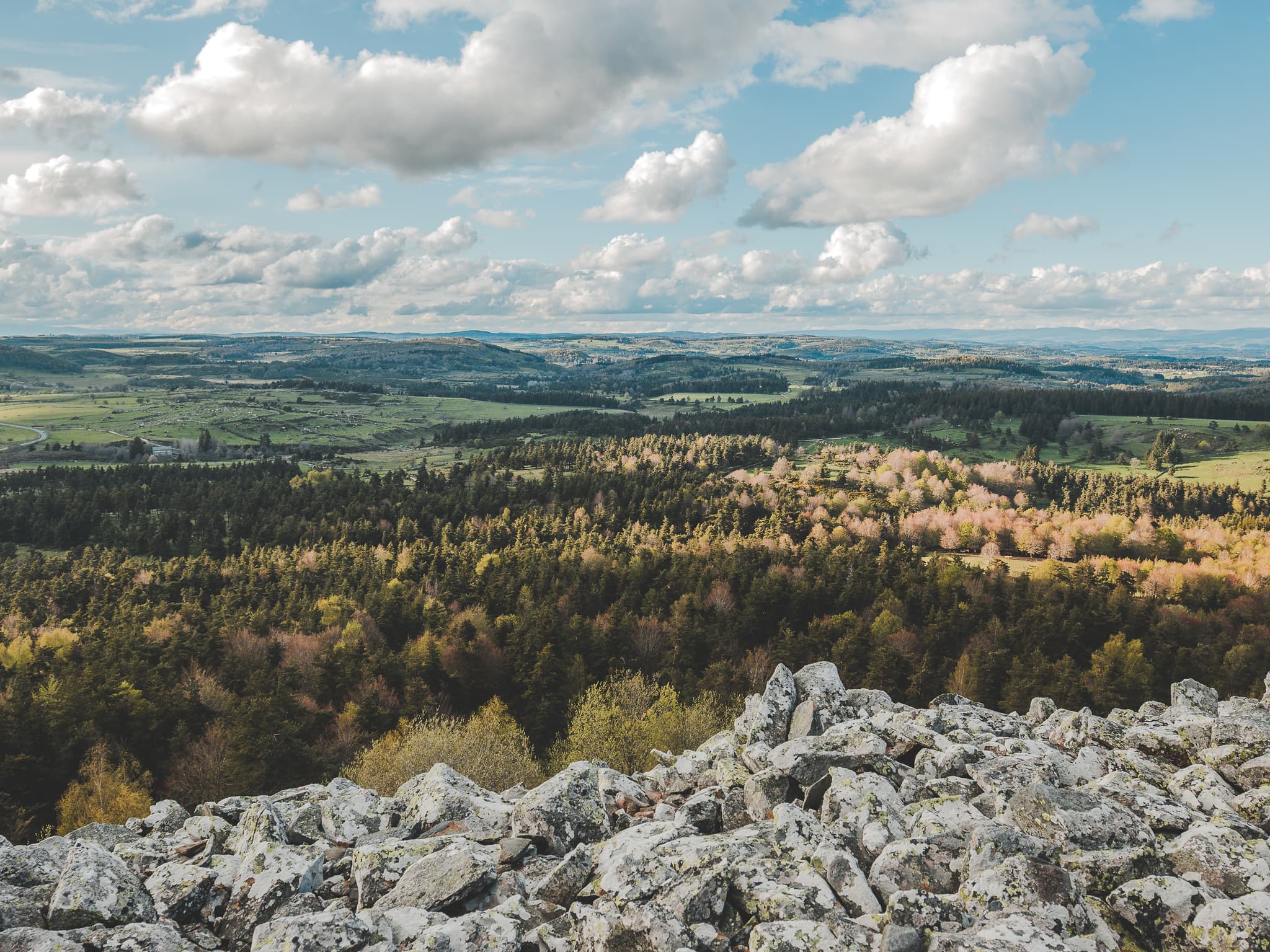 POILAR048V509QTH_04