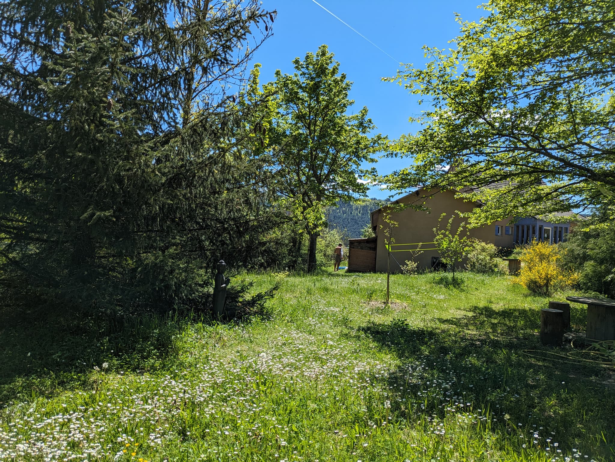 Terrain