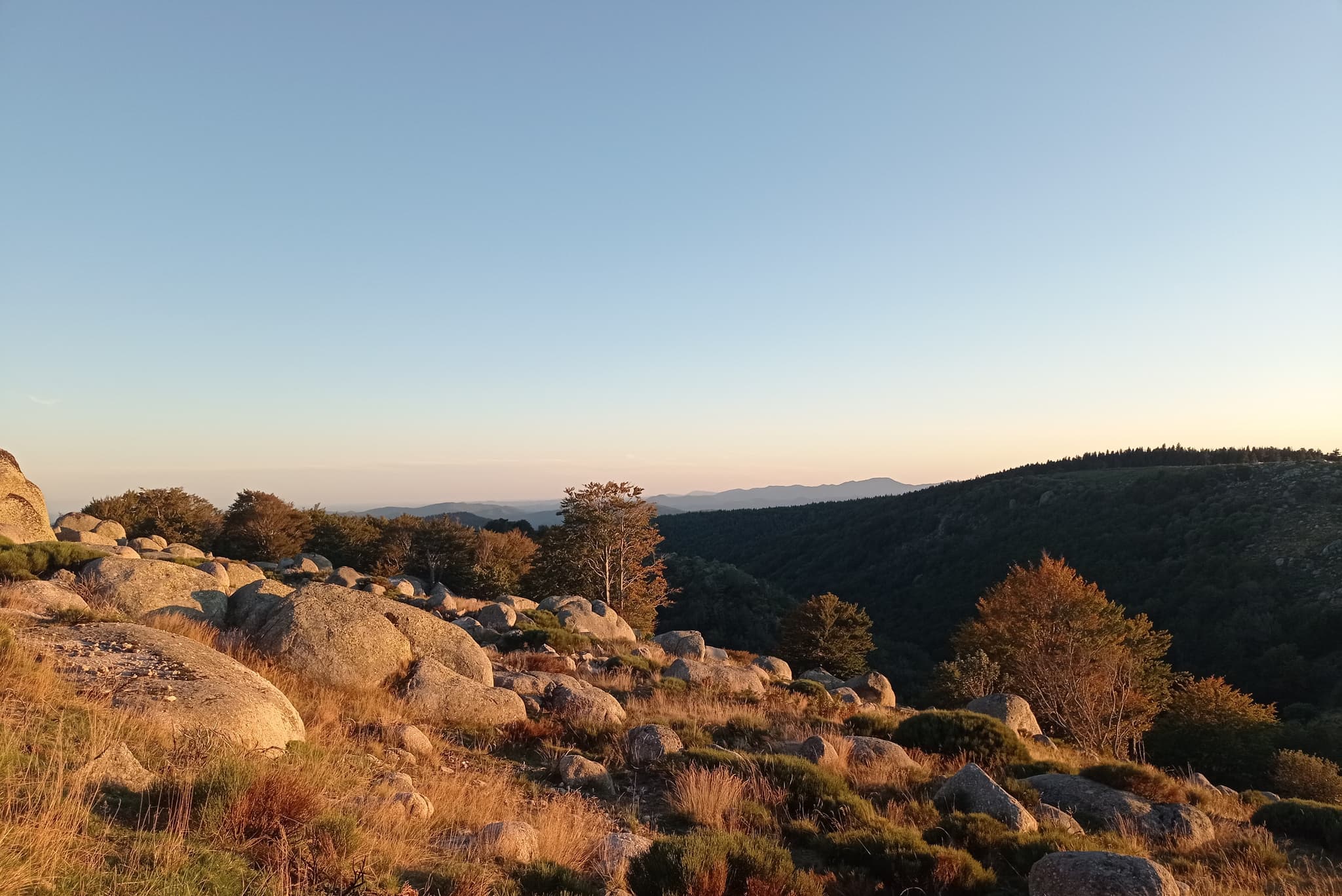 Paysage 1