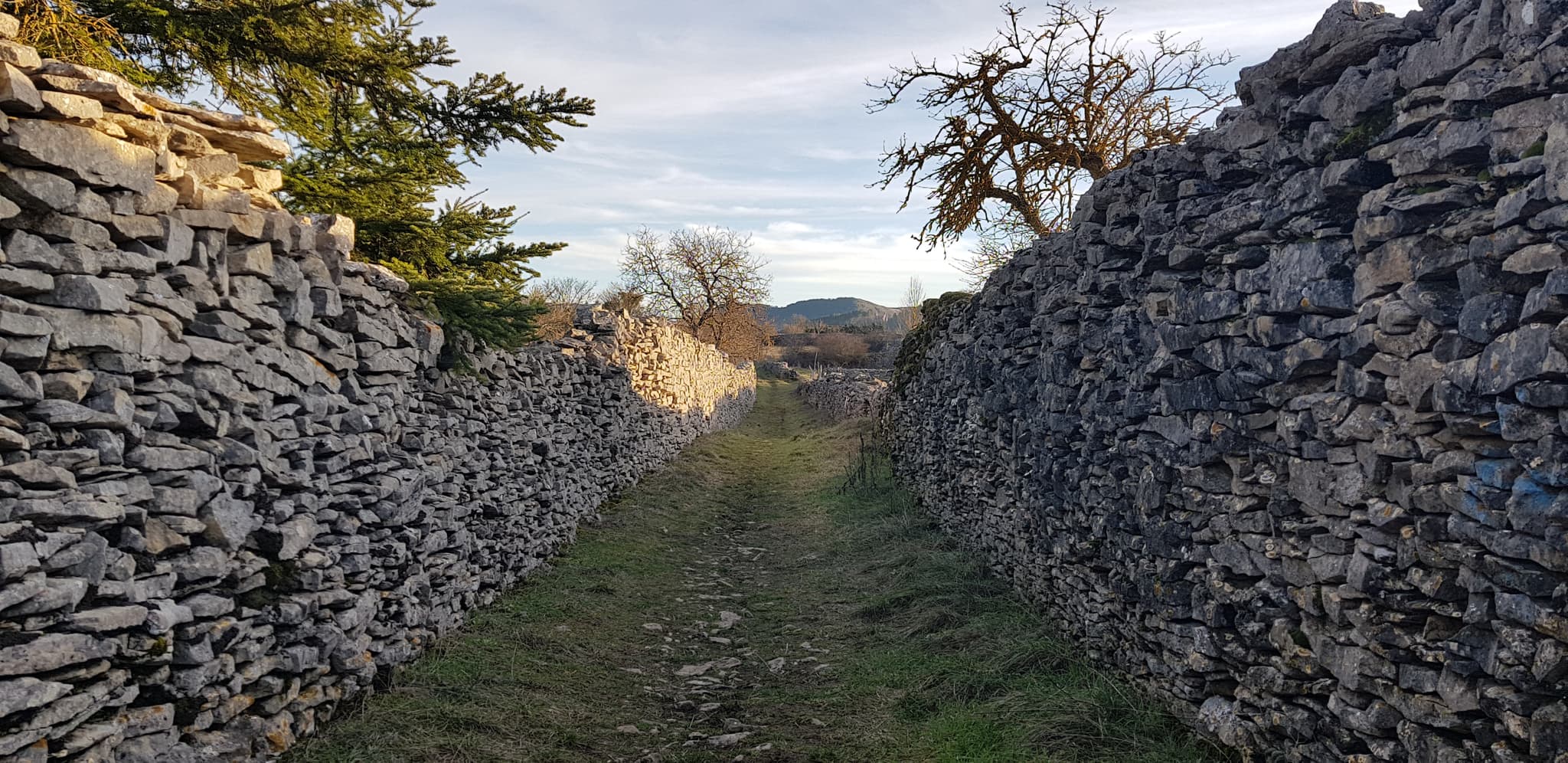 Plateau de la Cham_chemin murs