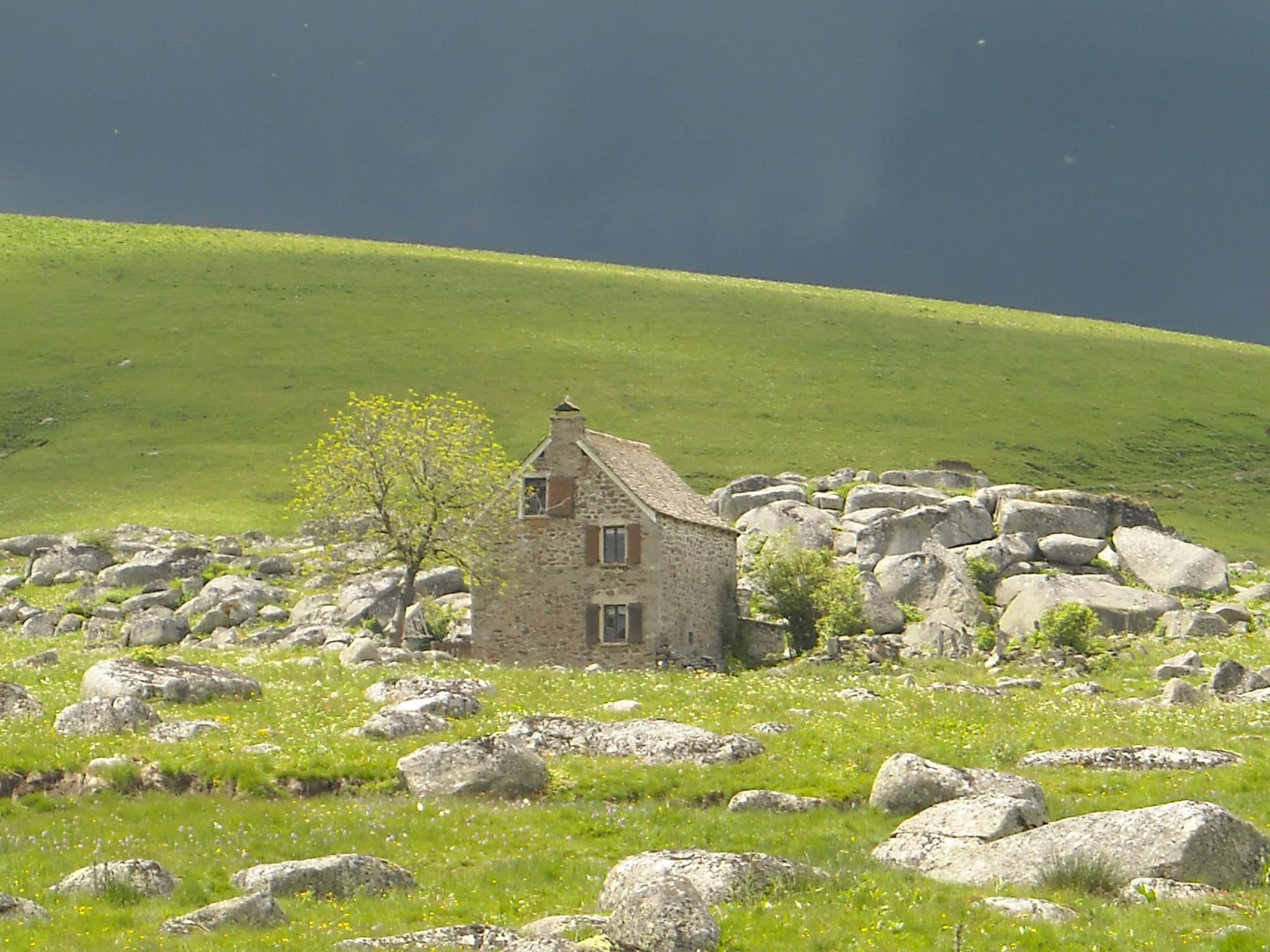 REFUGE 2