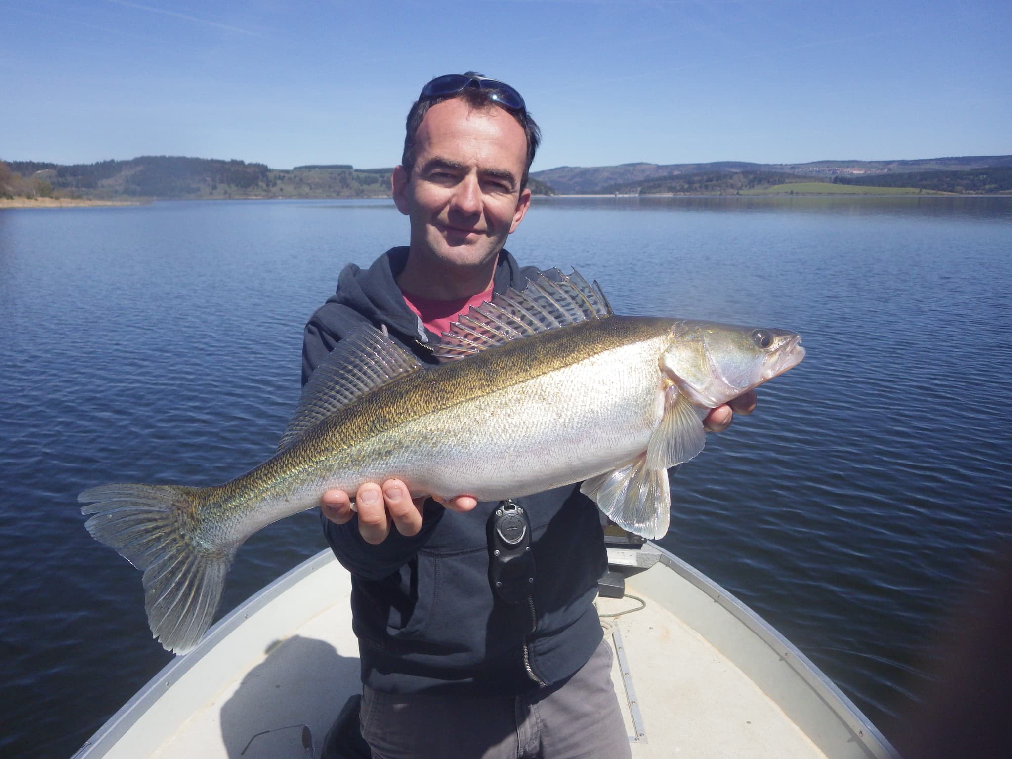 Sandre lac de Naussac
