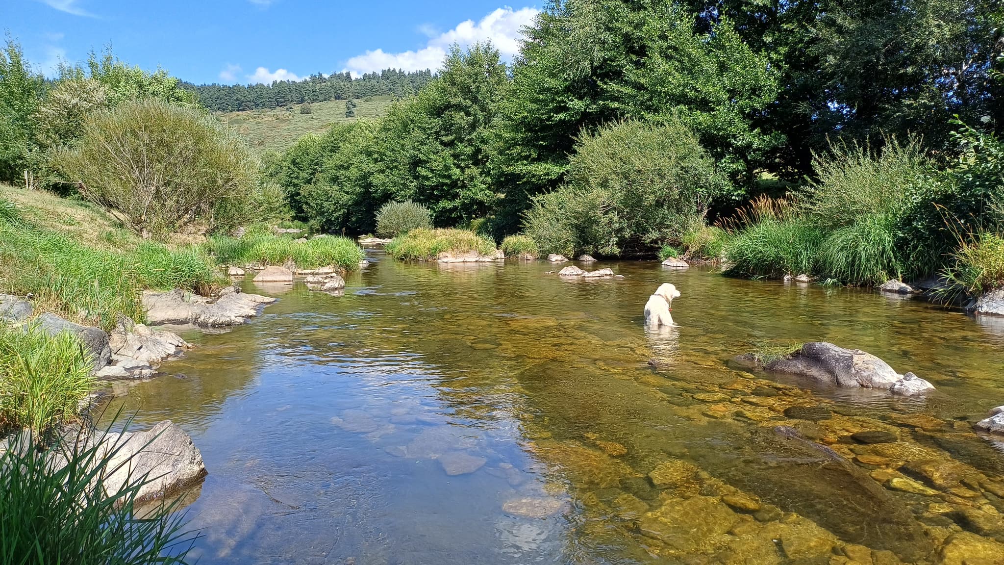 Camping*** La Cigale de l'Allier - rivière Allier