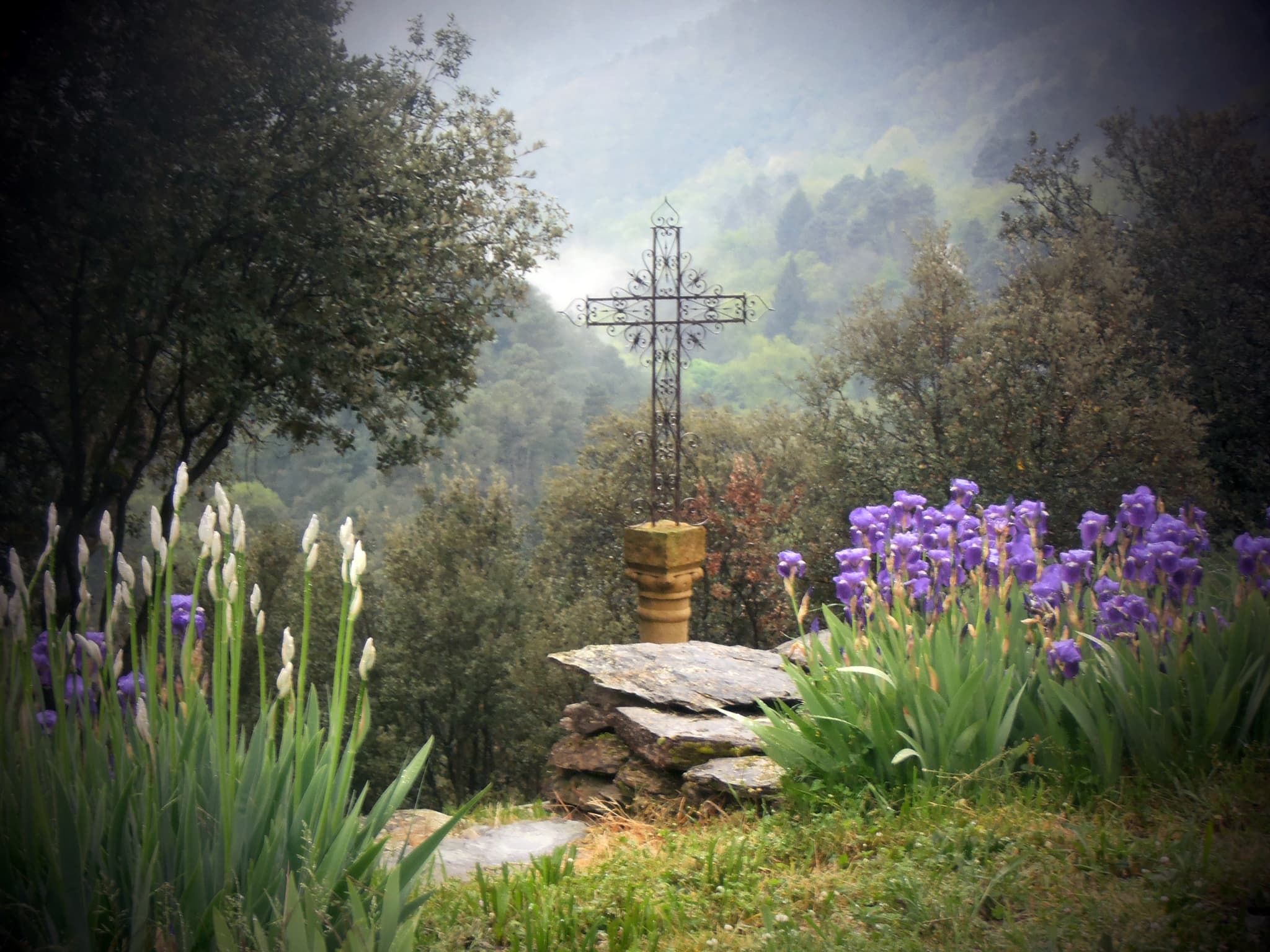 SSF croix