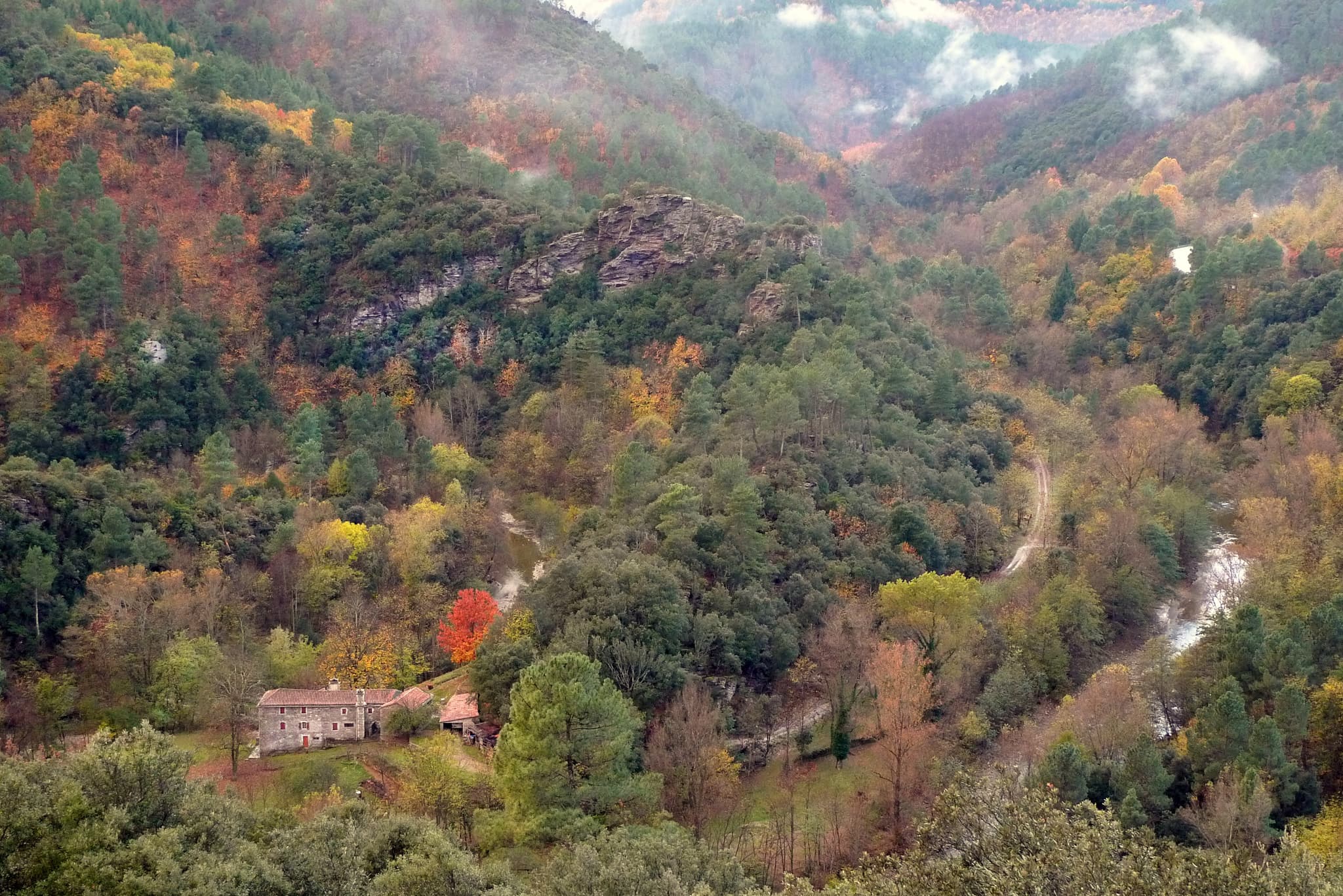 SSF vue automnejpg