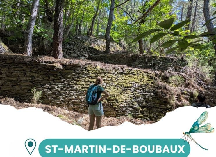 Saint Martin de Boubaux