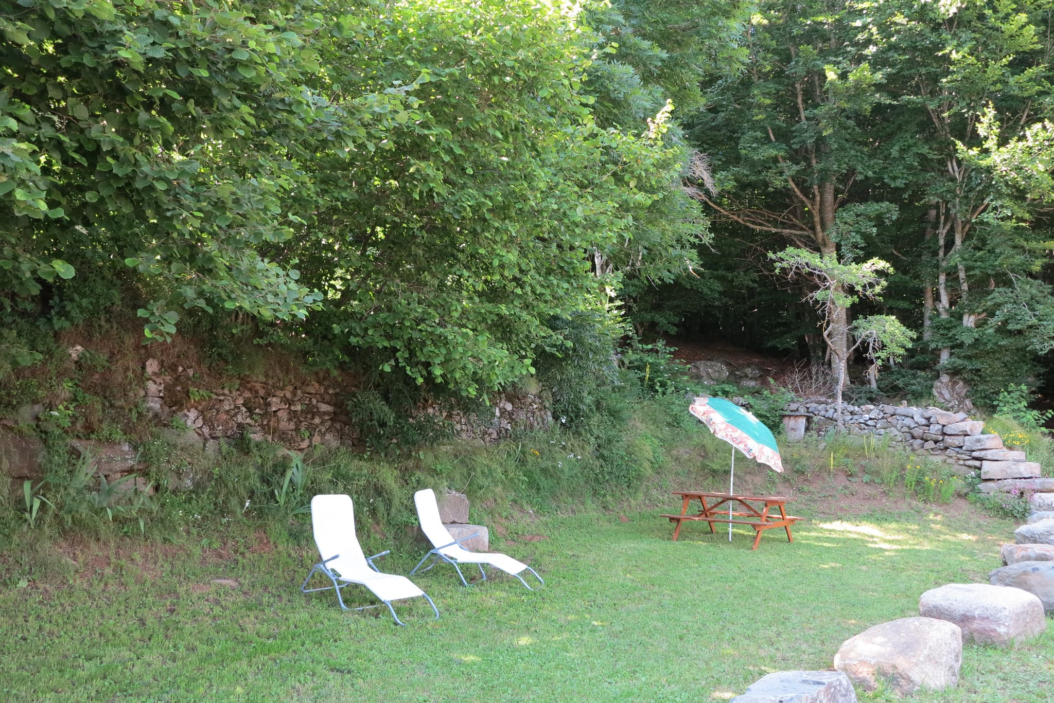 HLOLAR0480009788 - TERRAIN PRIVATIF LA FORGE