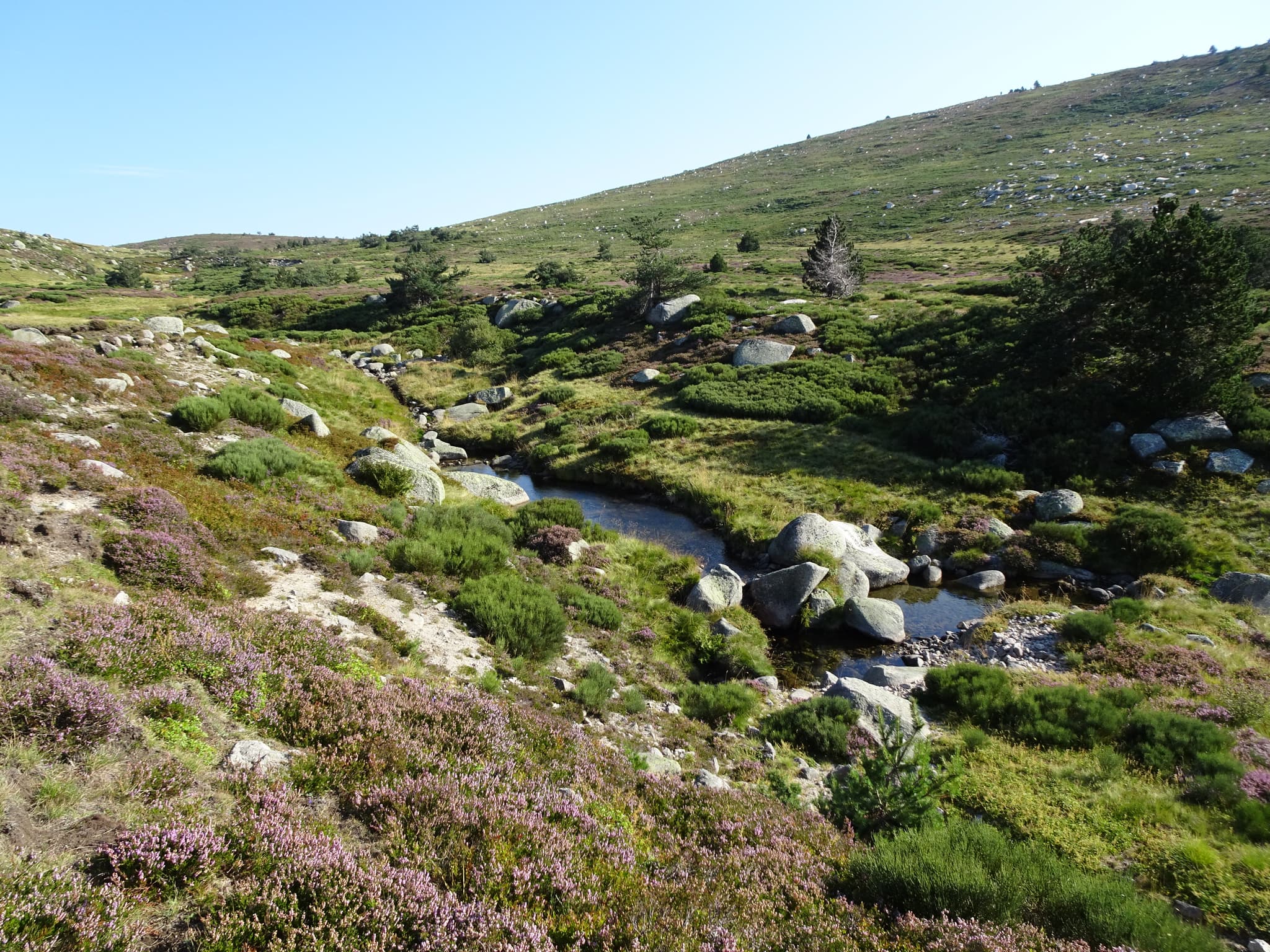 COMBES DES SOURCES DU TARN