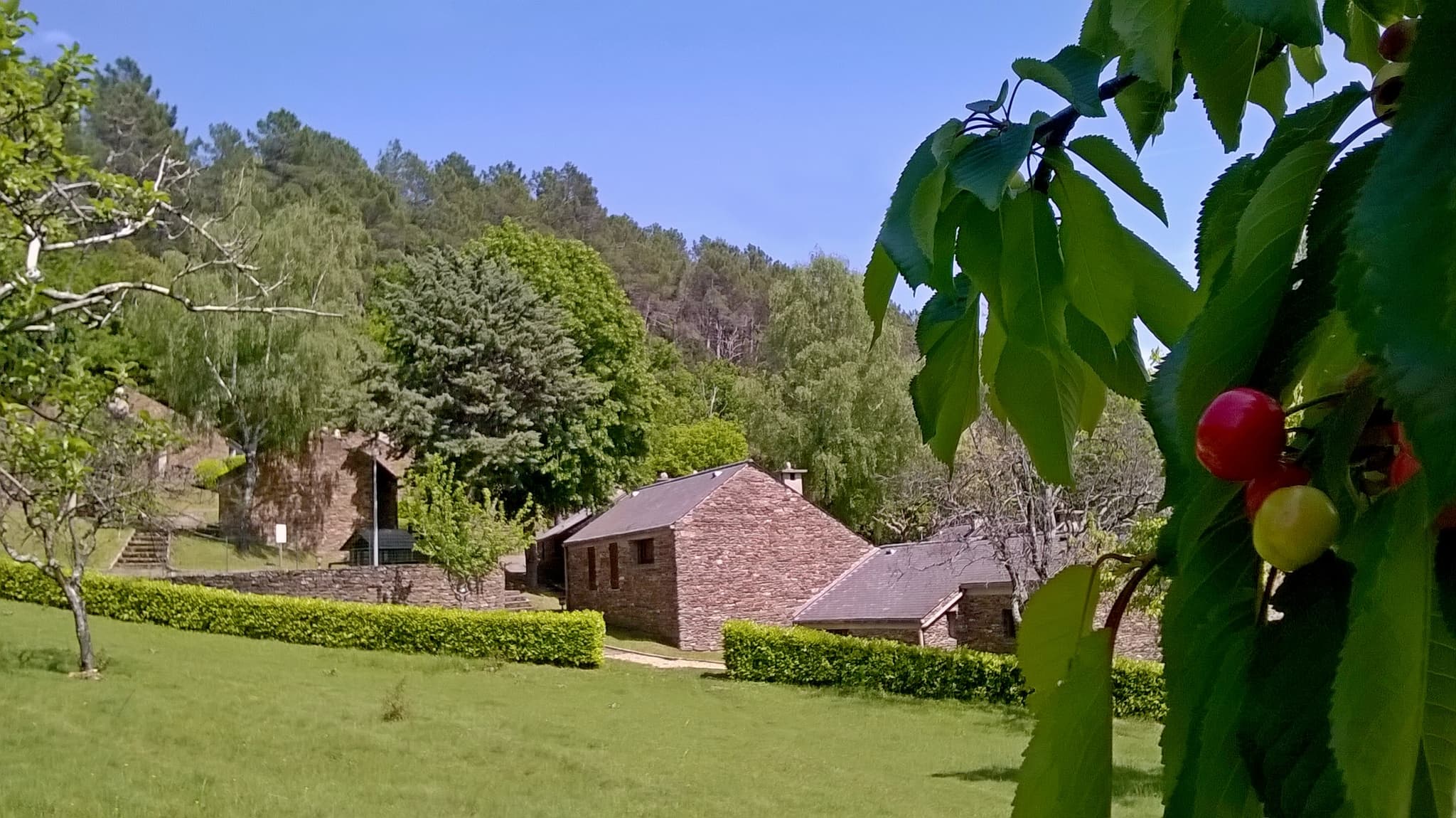 Les Hauts de Saint Privat le temps des cerises