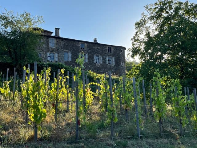 Visite Molezon Vignes Naturaloha
