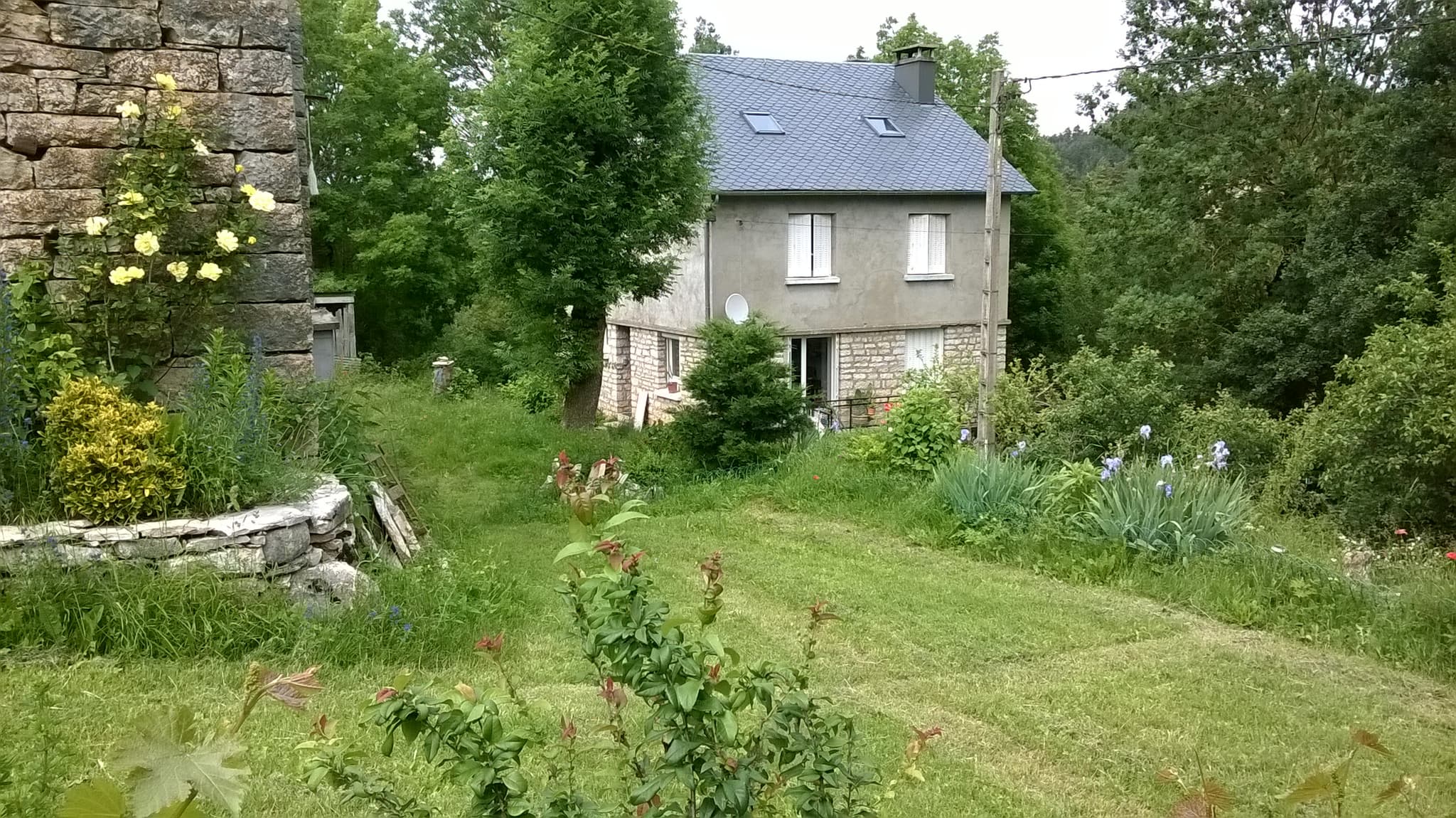 WP_20180615_004