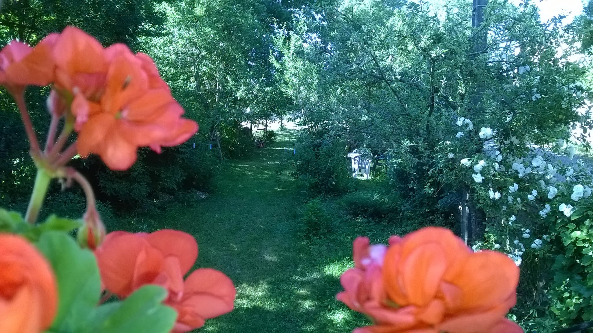 WP_20180704_018